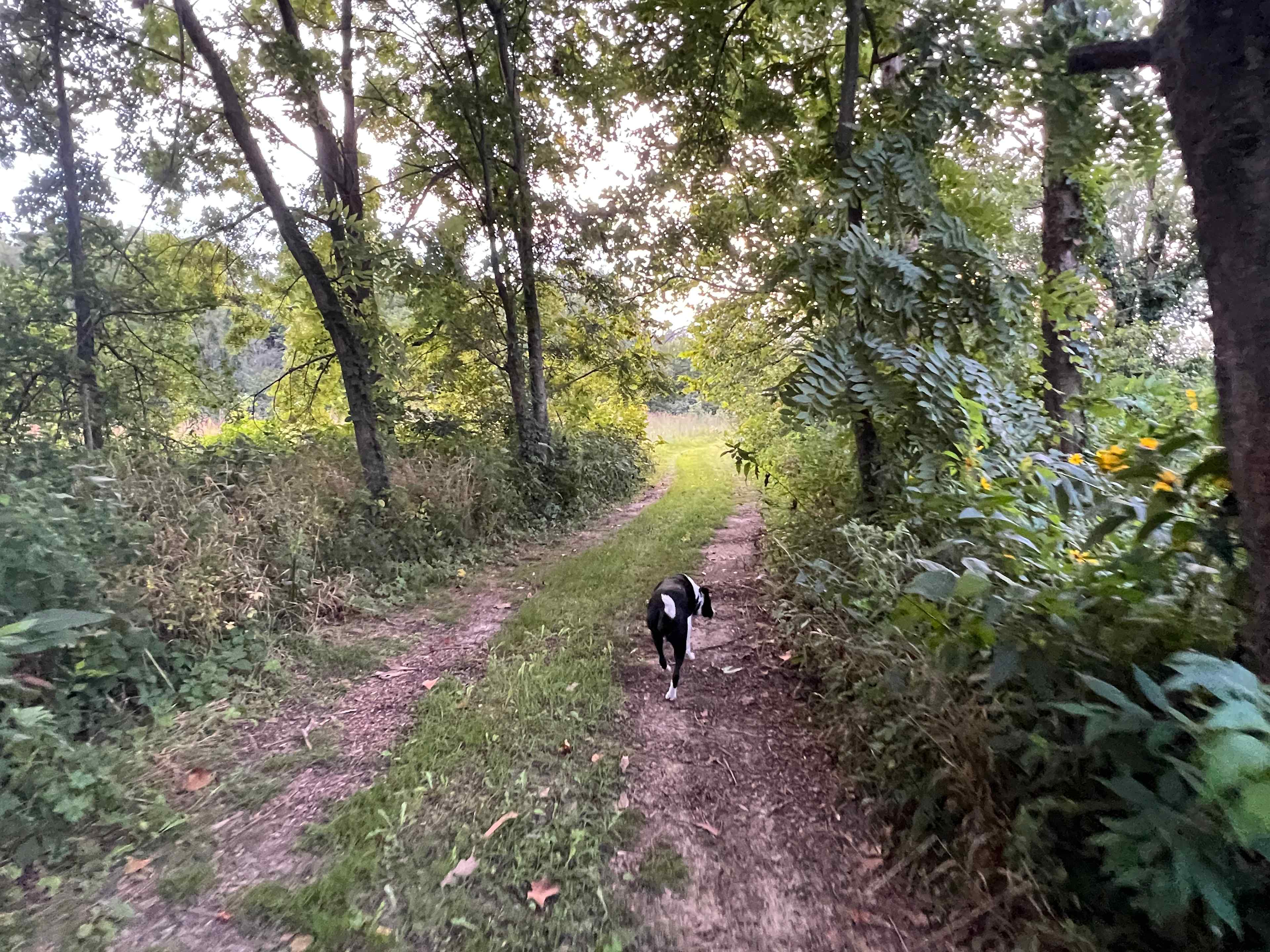 Draco Hill Nature Farm