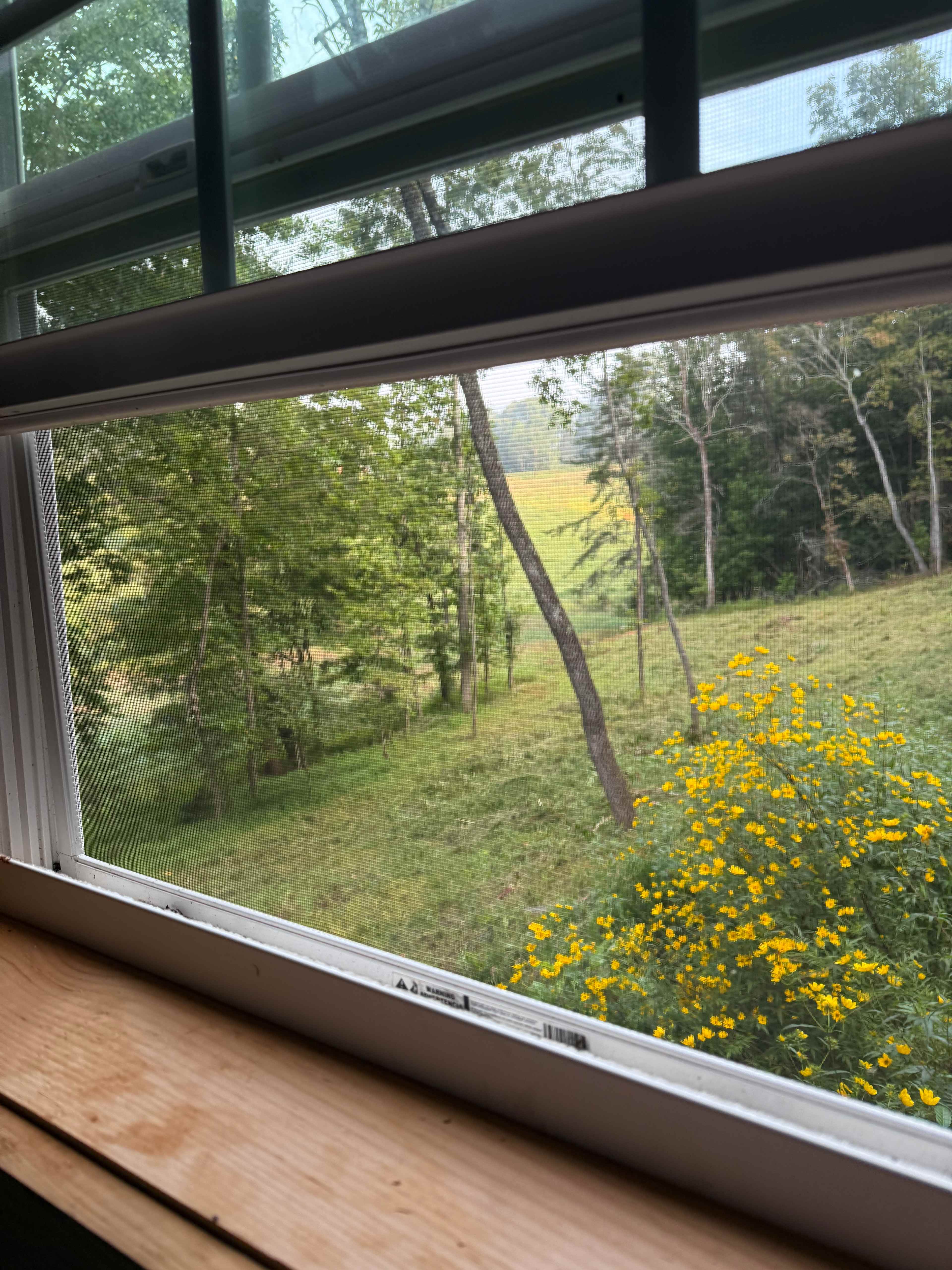 Cowee (Kawiyi Deer Clan) Campground