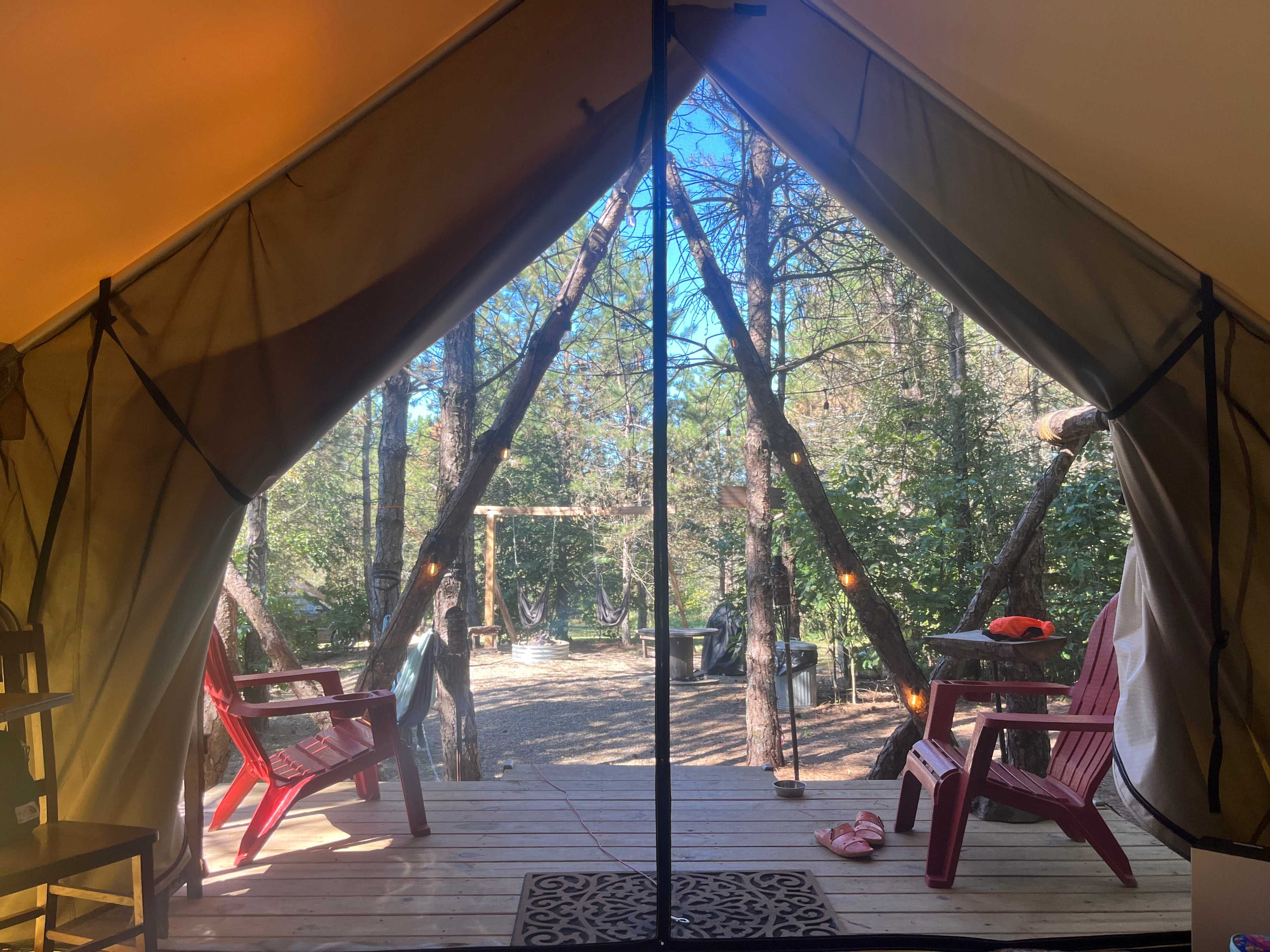 The Wild Pines Of Ohio