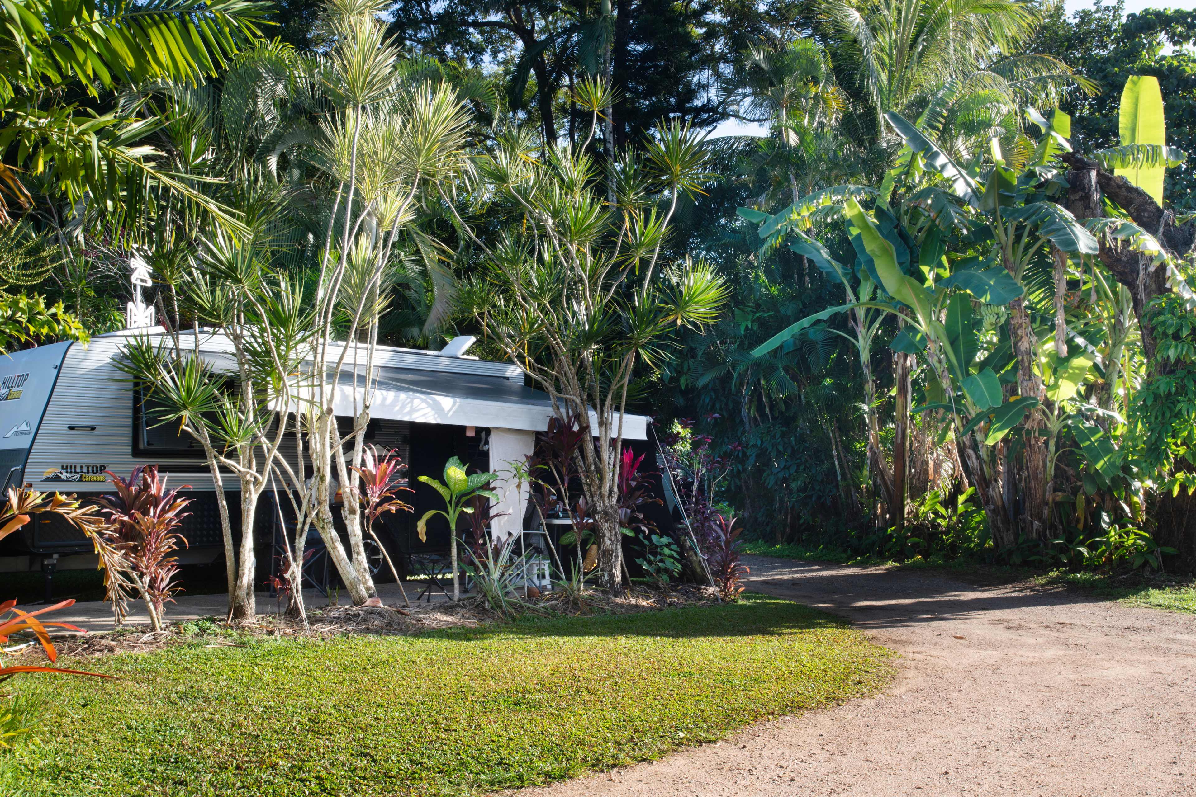 Tropical Hibiscus Caravan Park