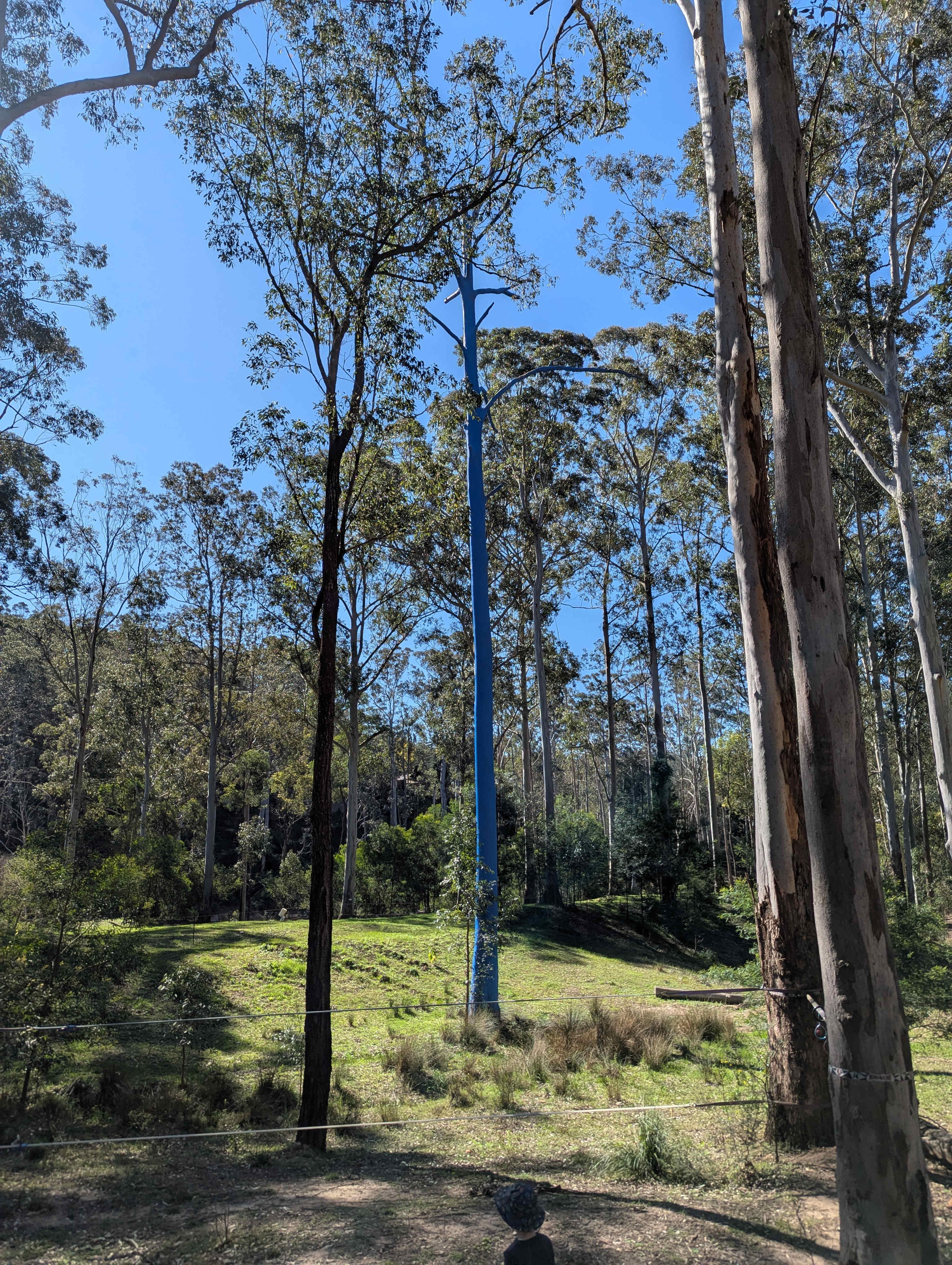 Jila Camp Grounds