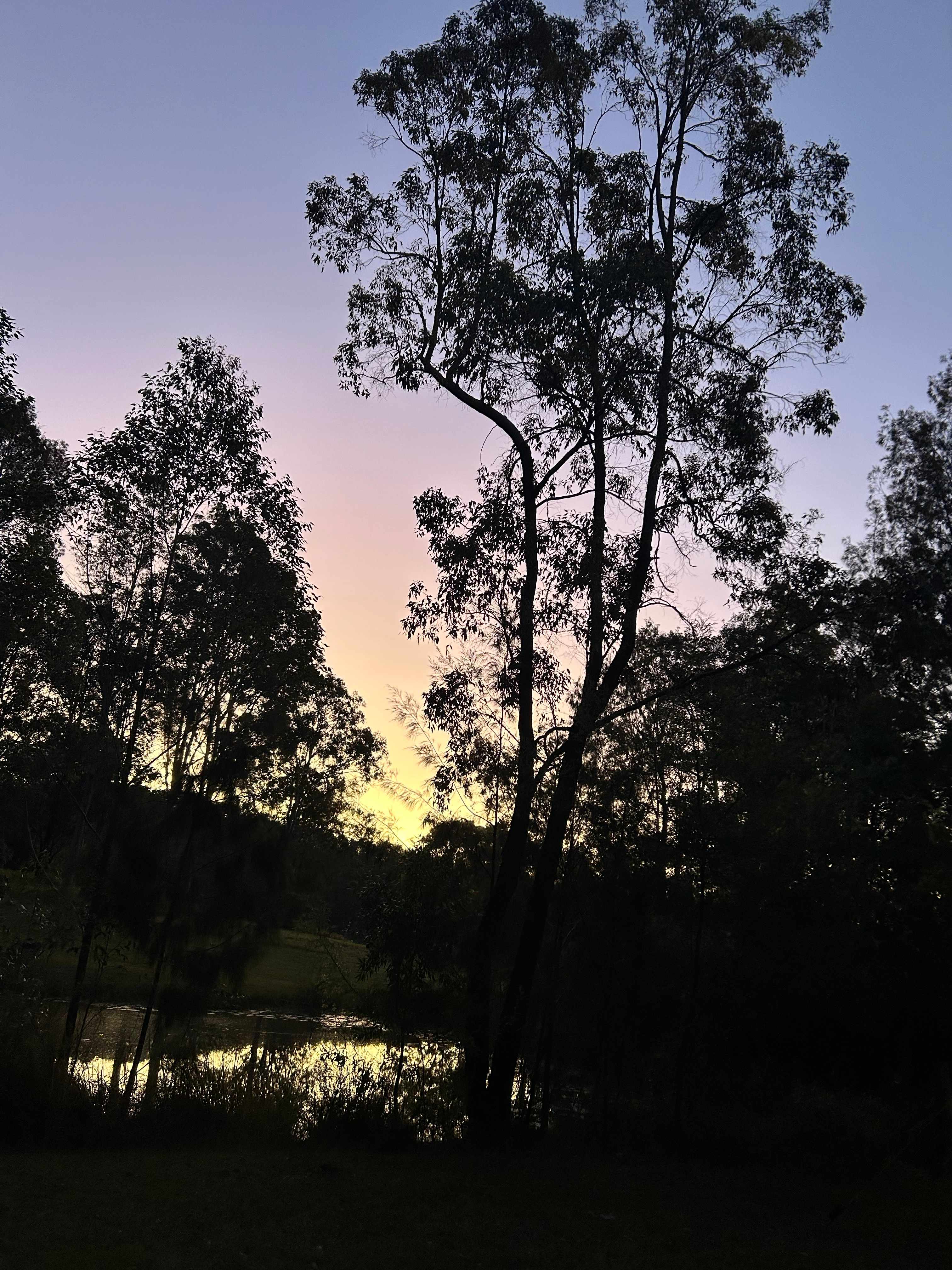 The Good Life Camping