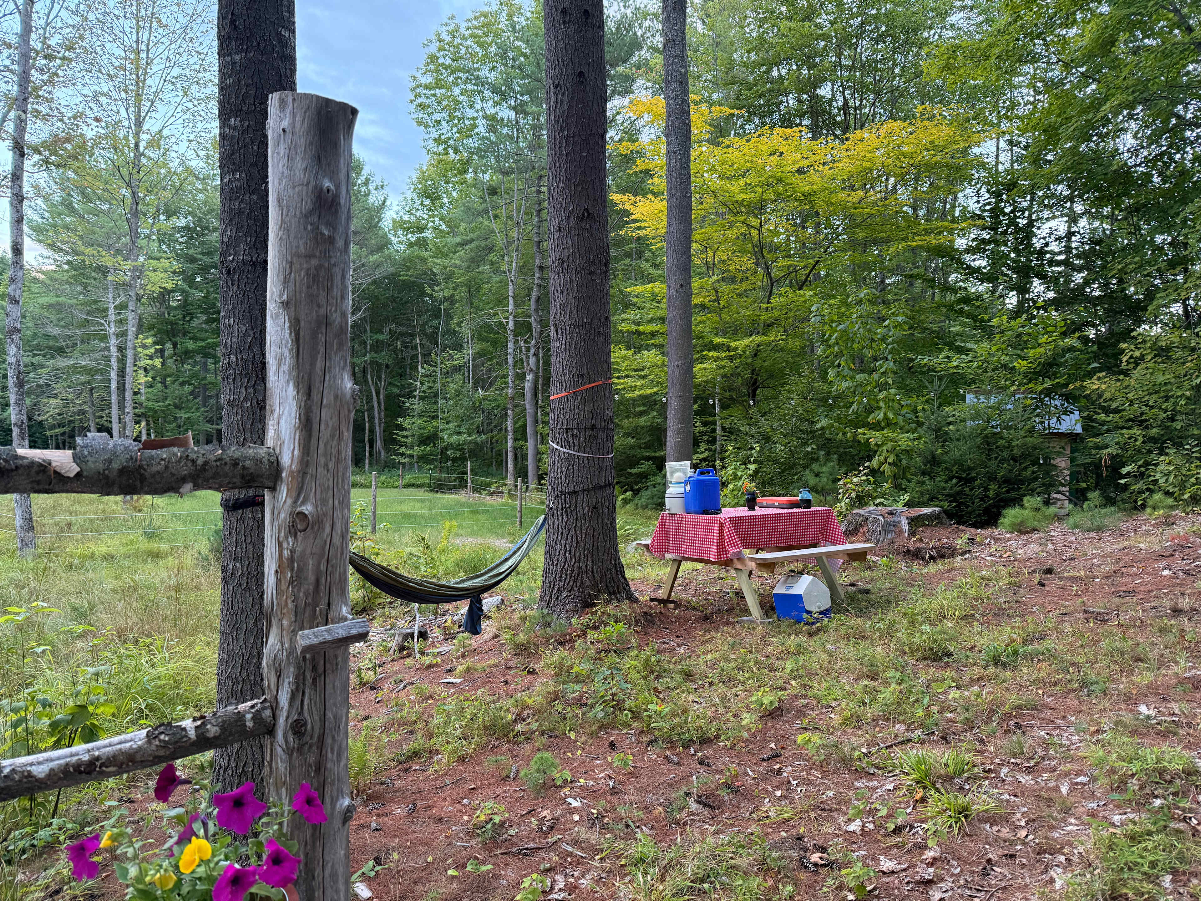 Picture of the site