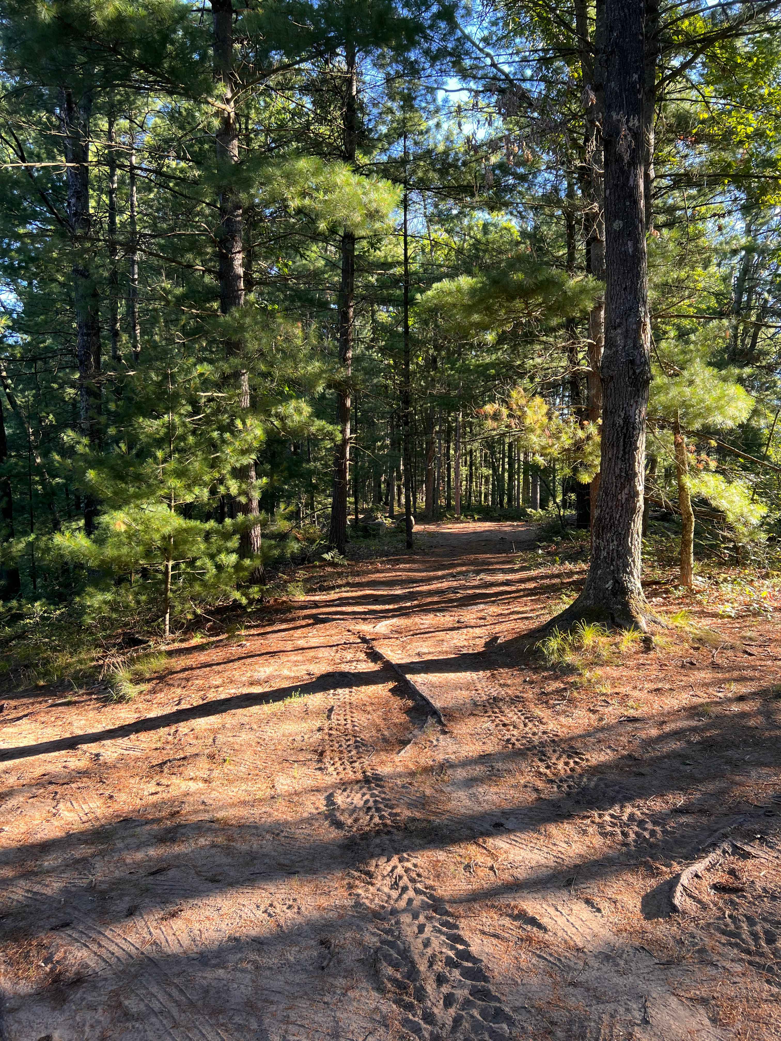 Walk to rattlesnake lake 