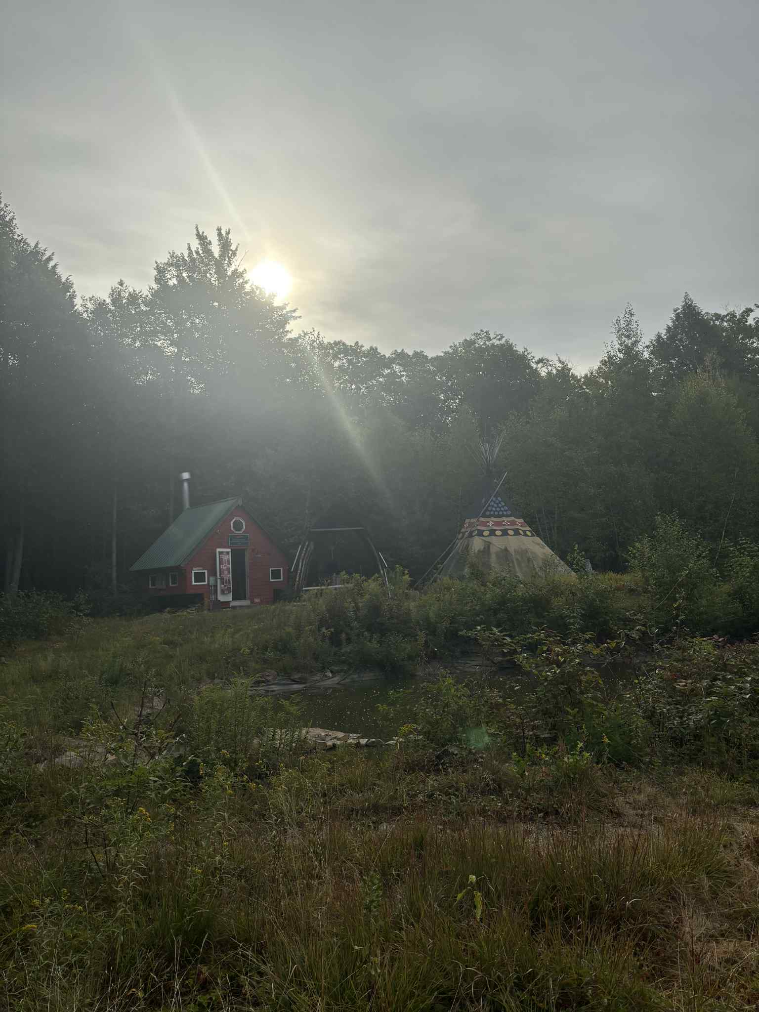 Salamander Hollow Healing Habitat