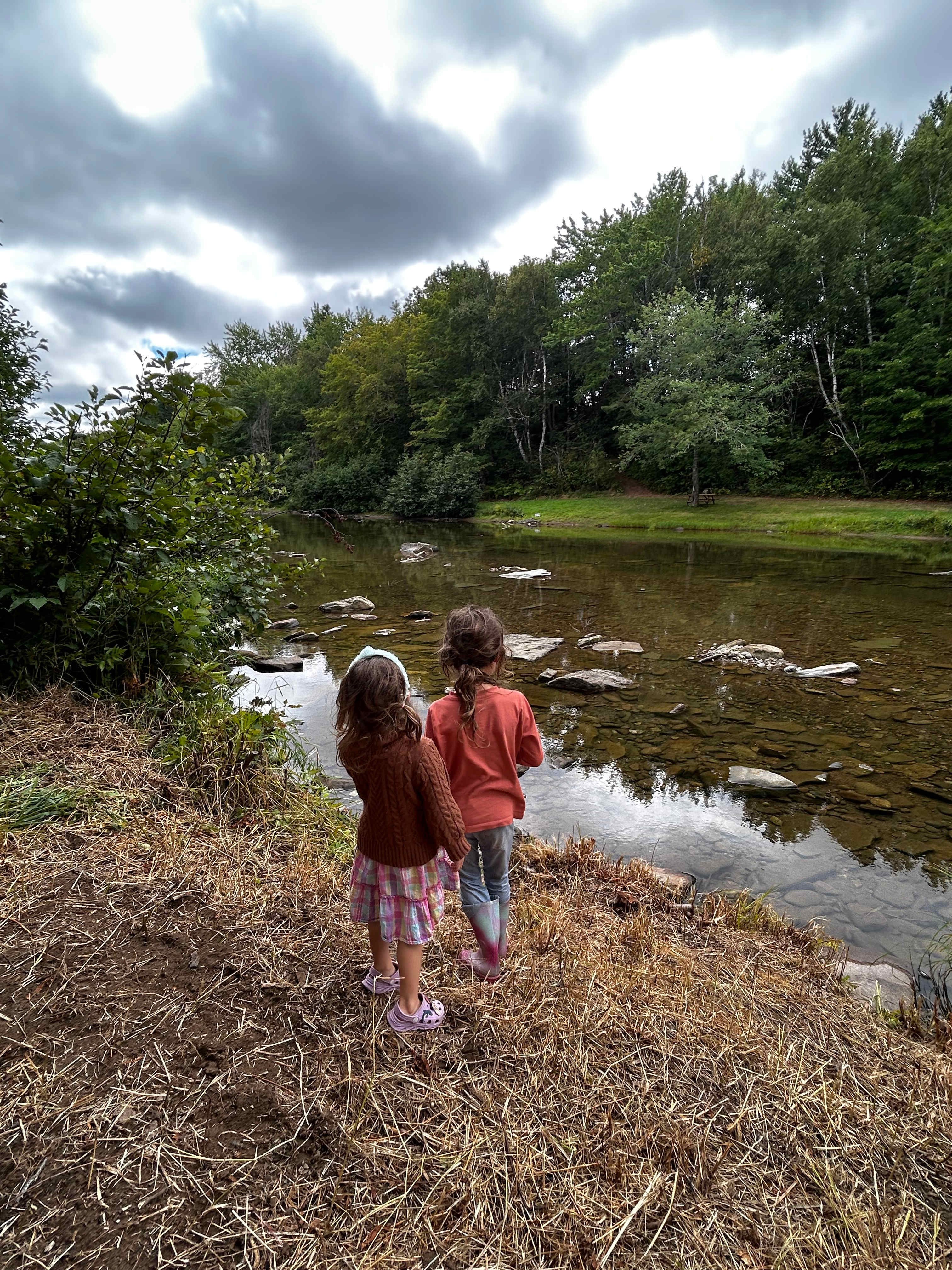 The children loved it 