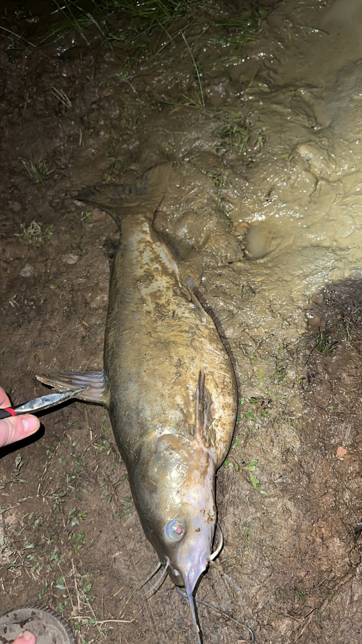 Just one of several this size! 