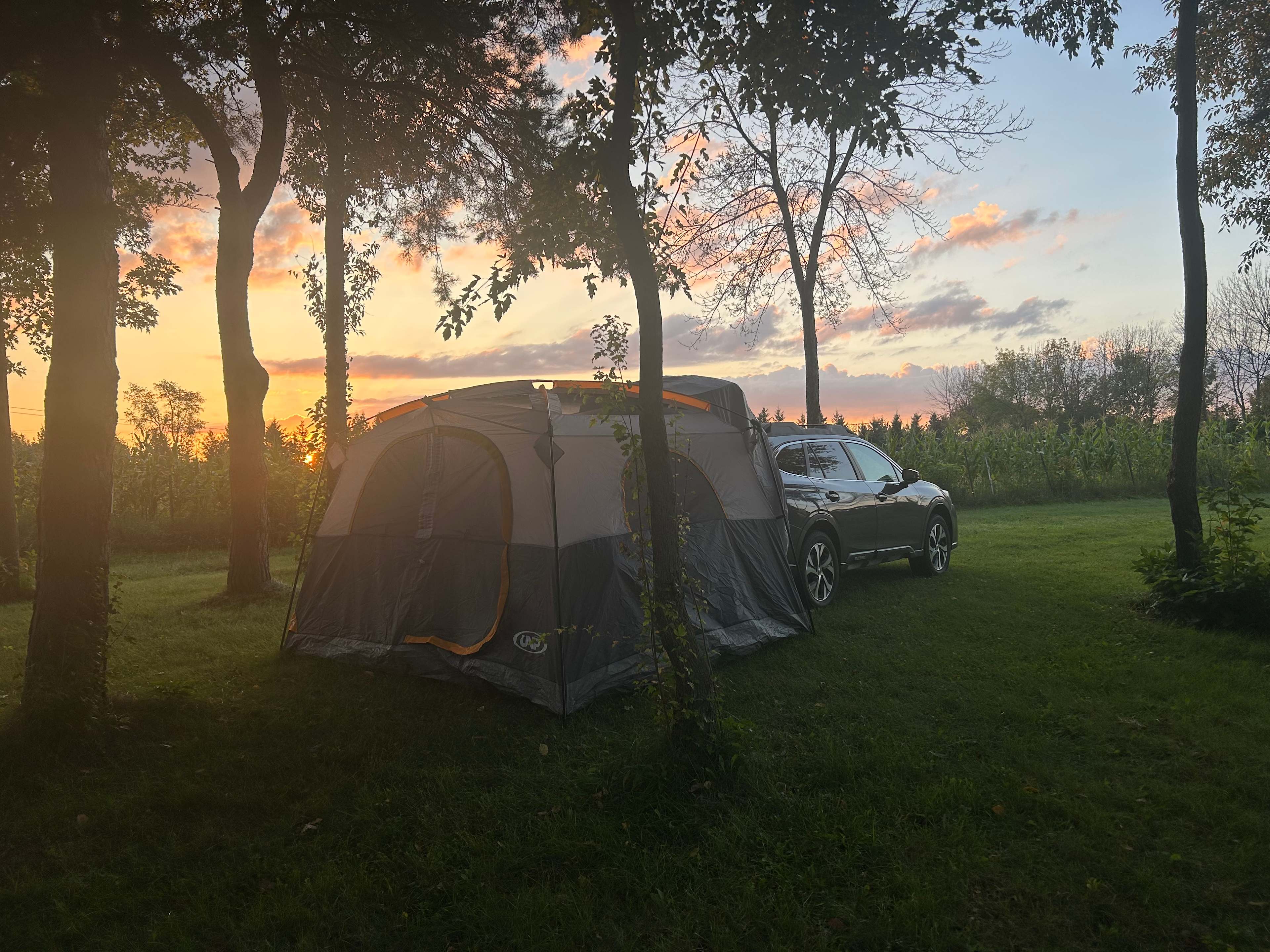 Honeyberry Minnesota working farm