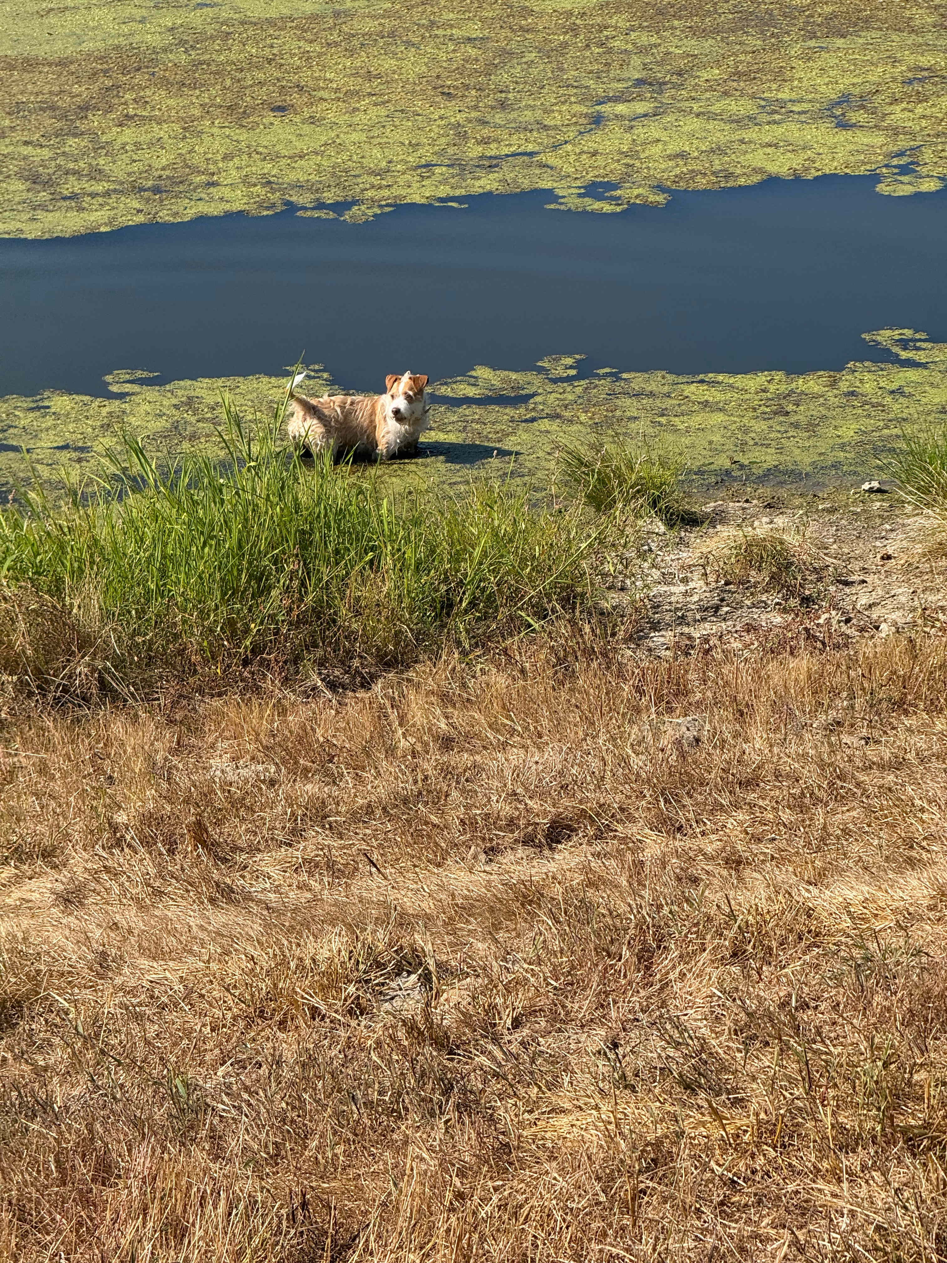 HAYMARK FARMSTAYS Private RV Sites