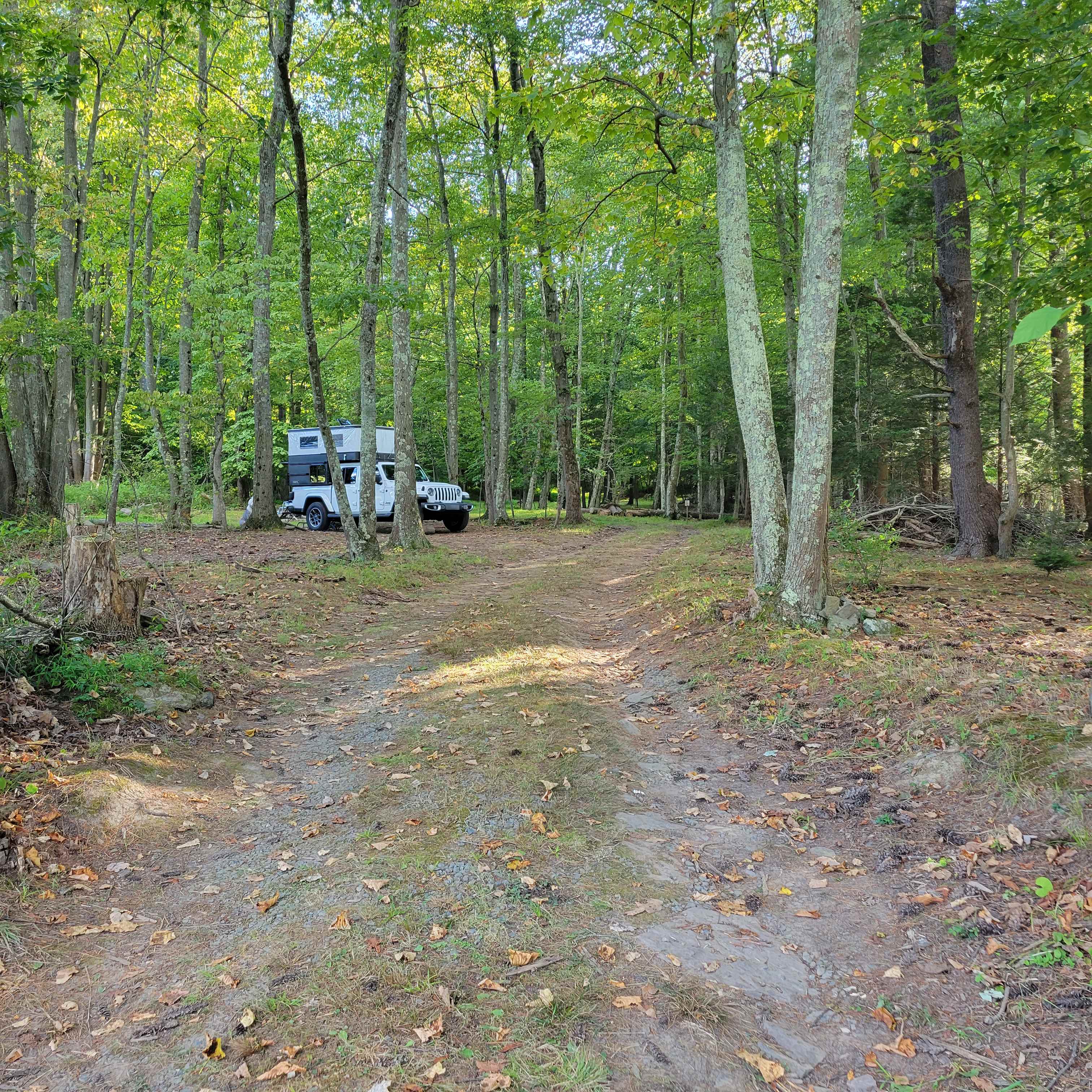 CampsiteDiscGolf @ HighHorizonsFarm