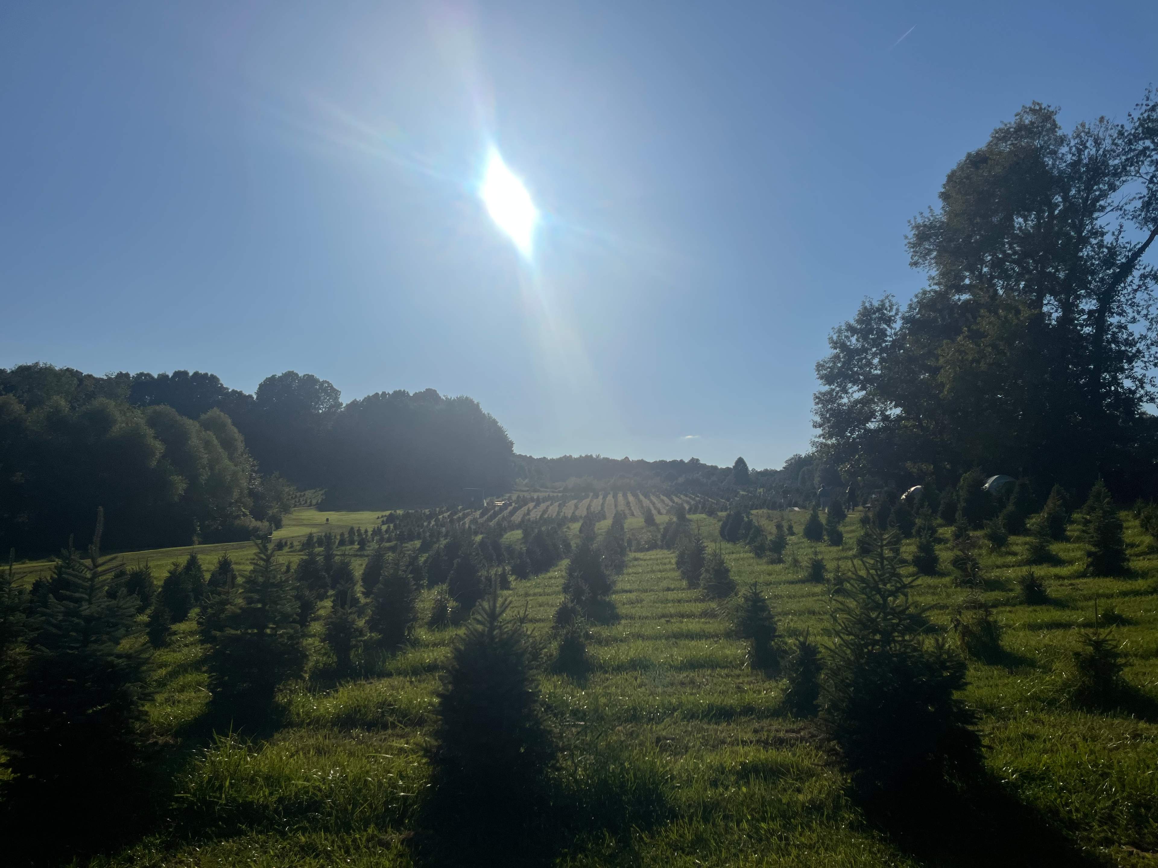 Camping at Heritage Farms