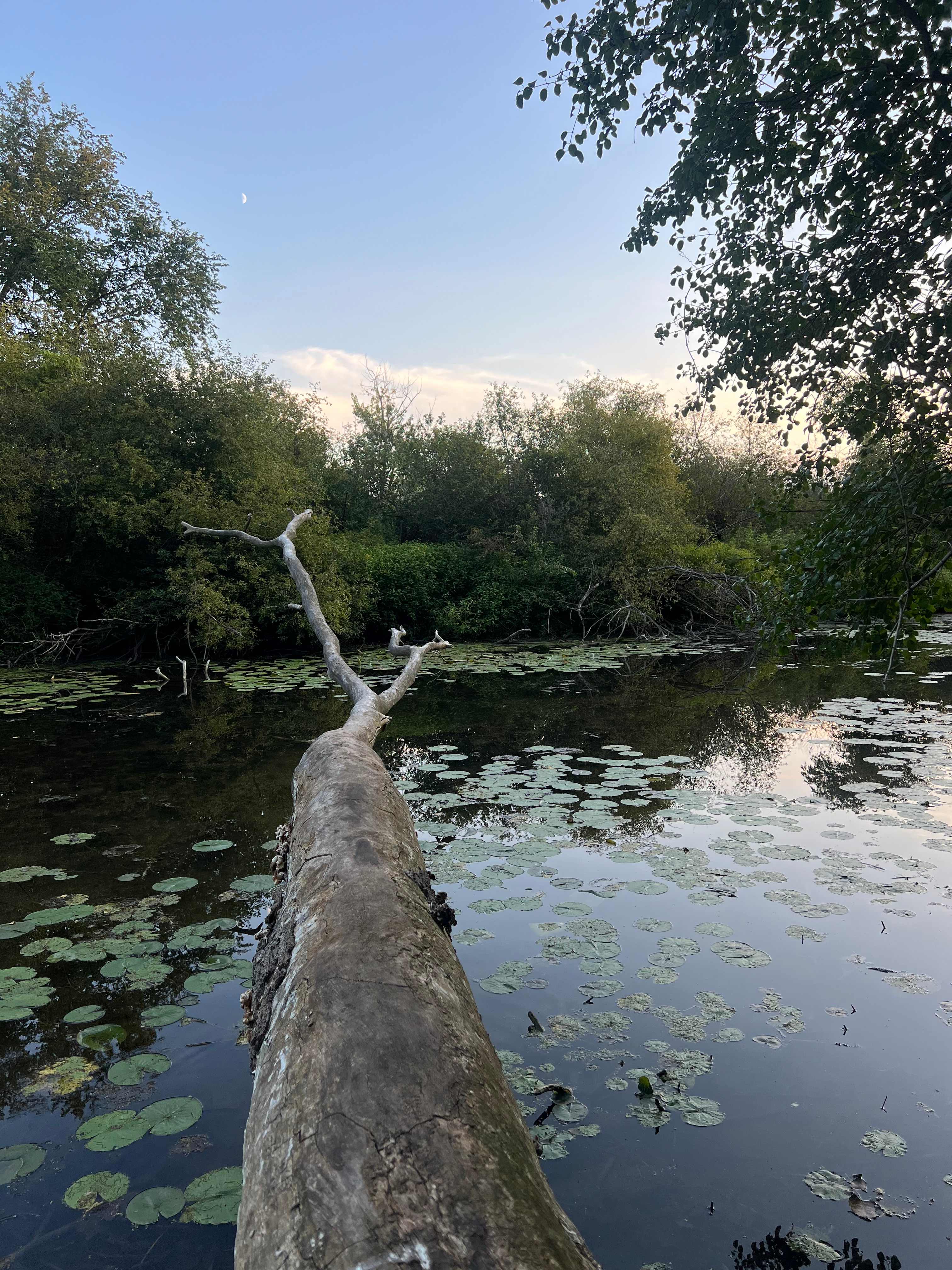 Private Lake Mary Channel Camping