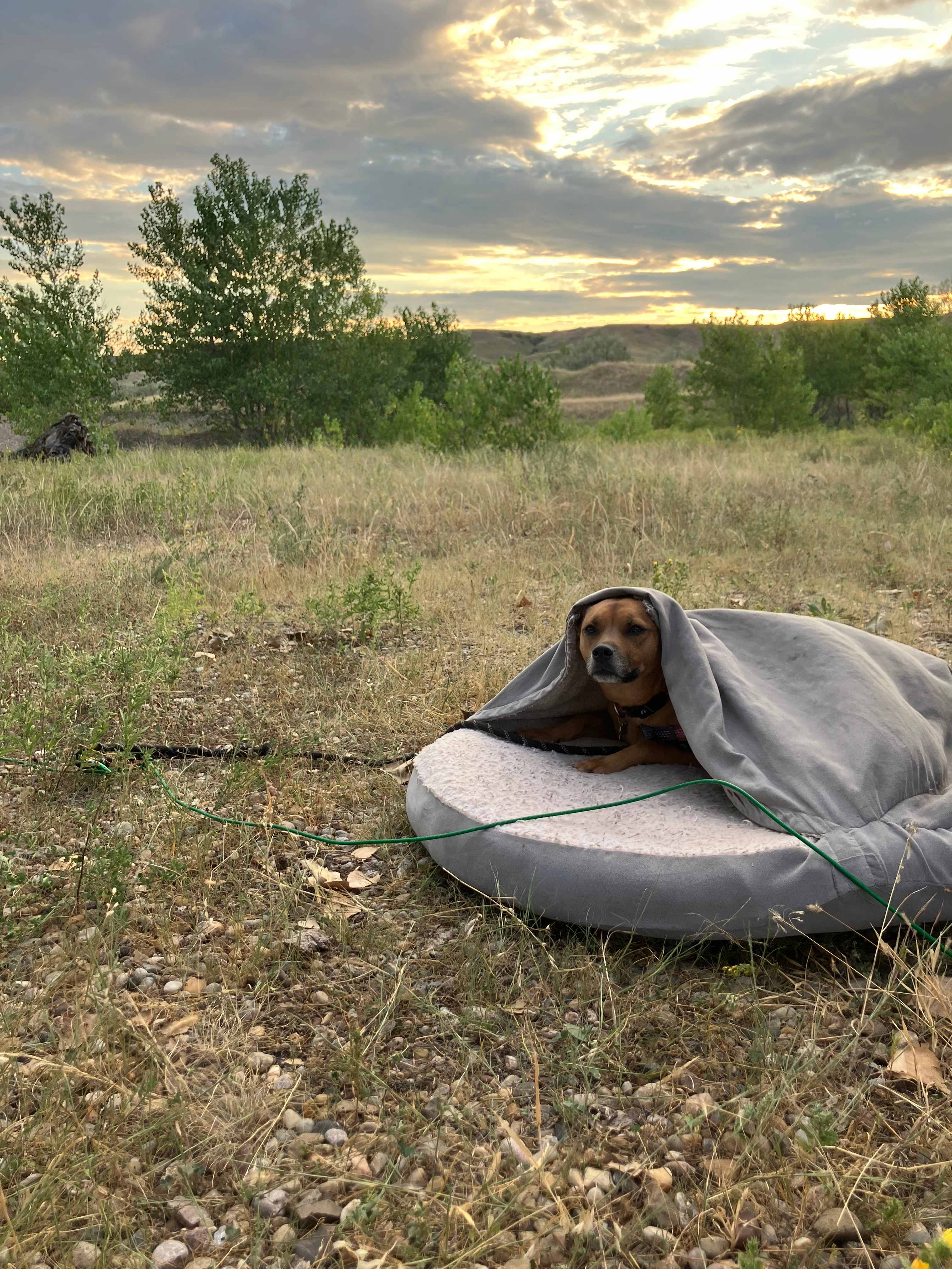 Cheyenne River Bottom