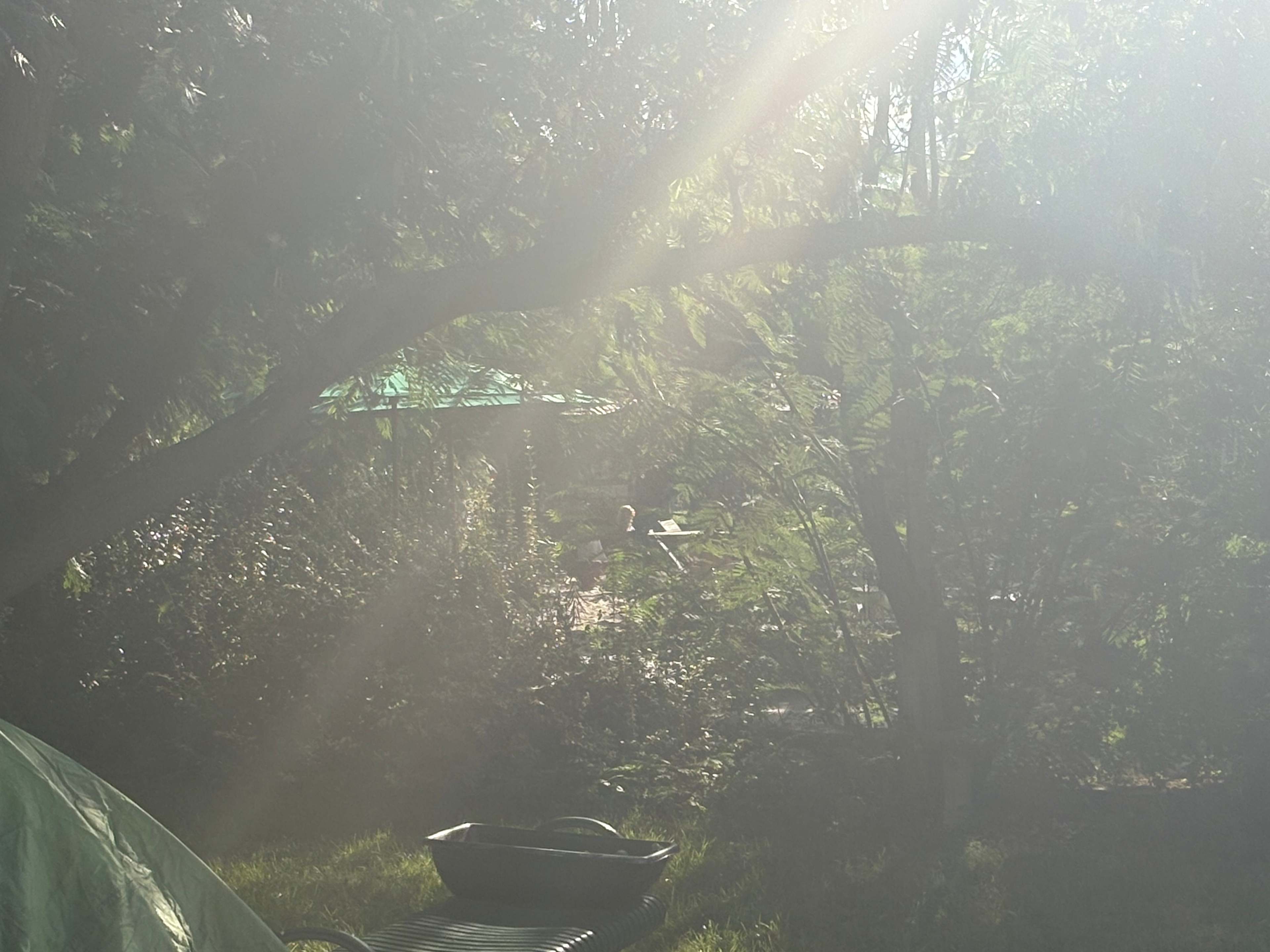 Harmony Lake Farm Park & Playground