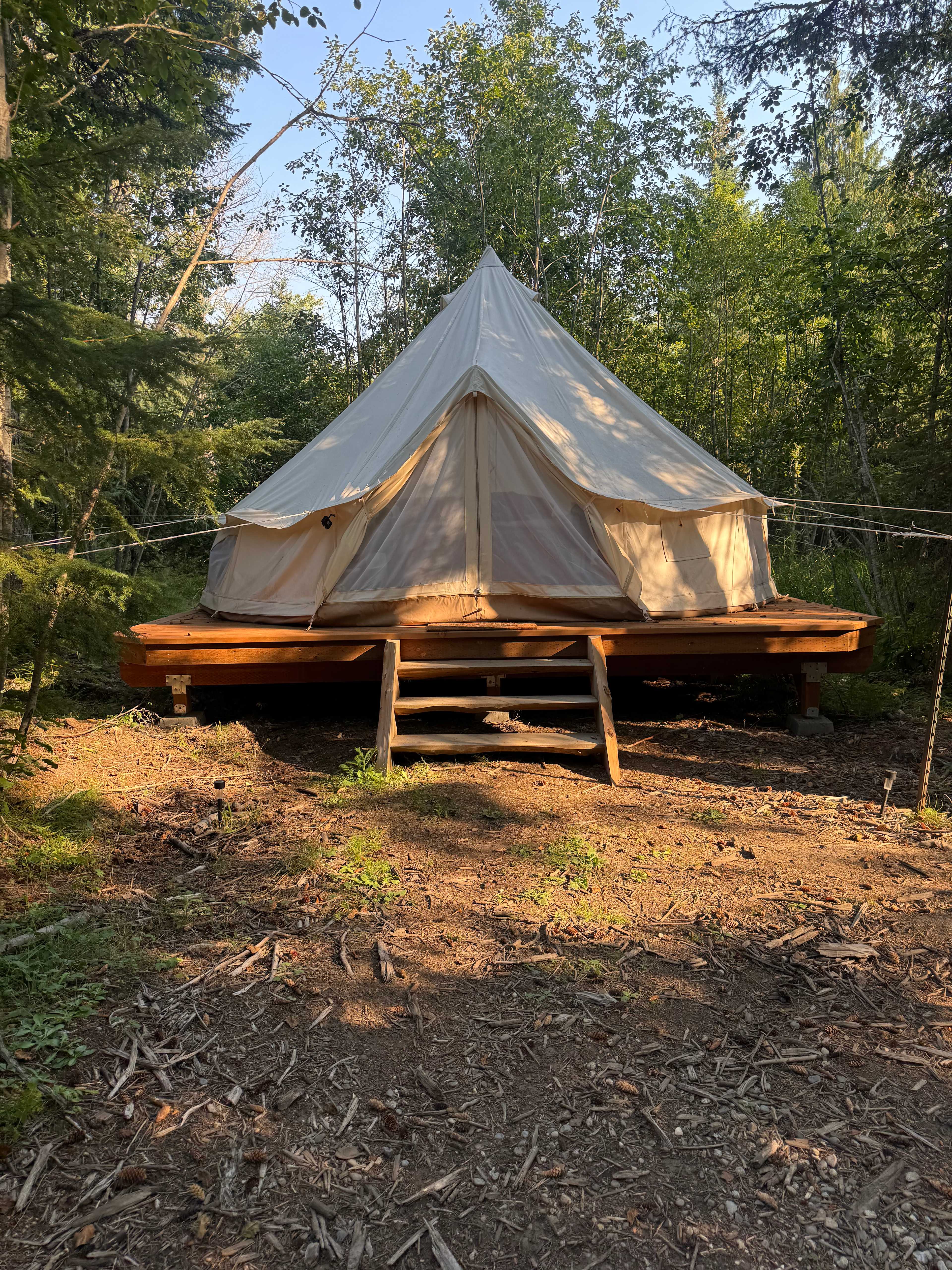 Lost Fainting Goat Ranch