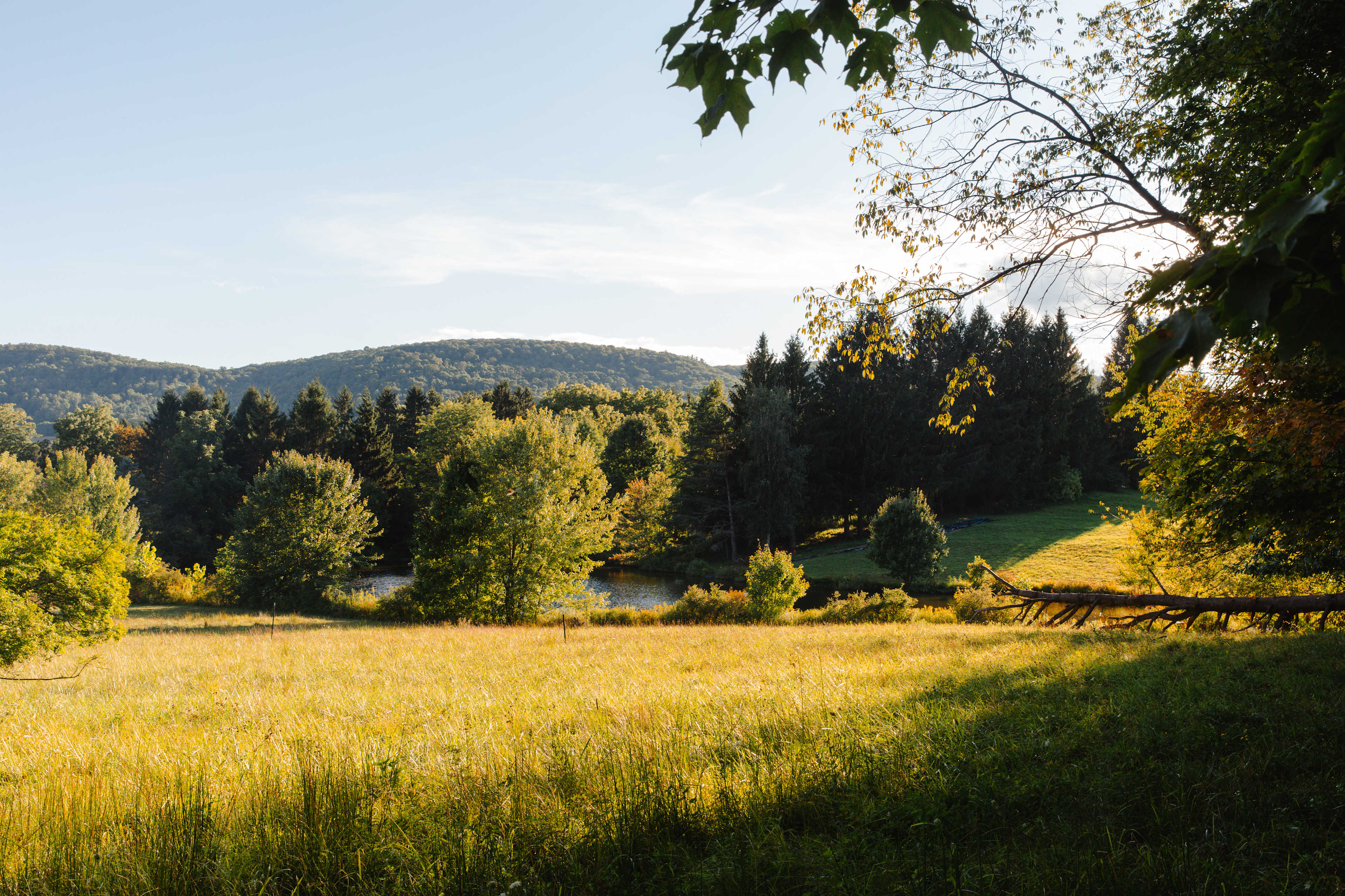Underhill Forest and Farm