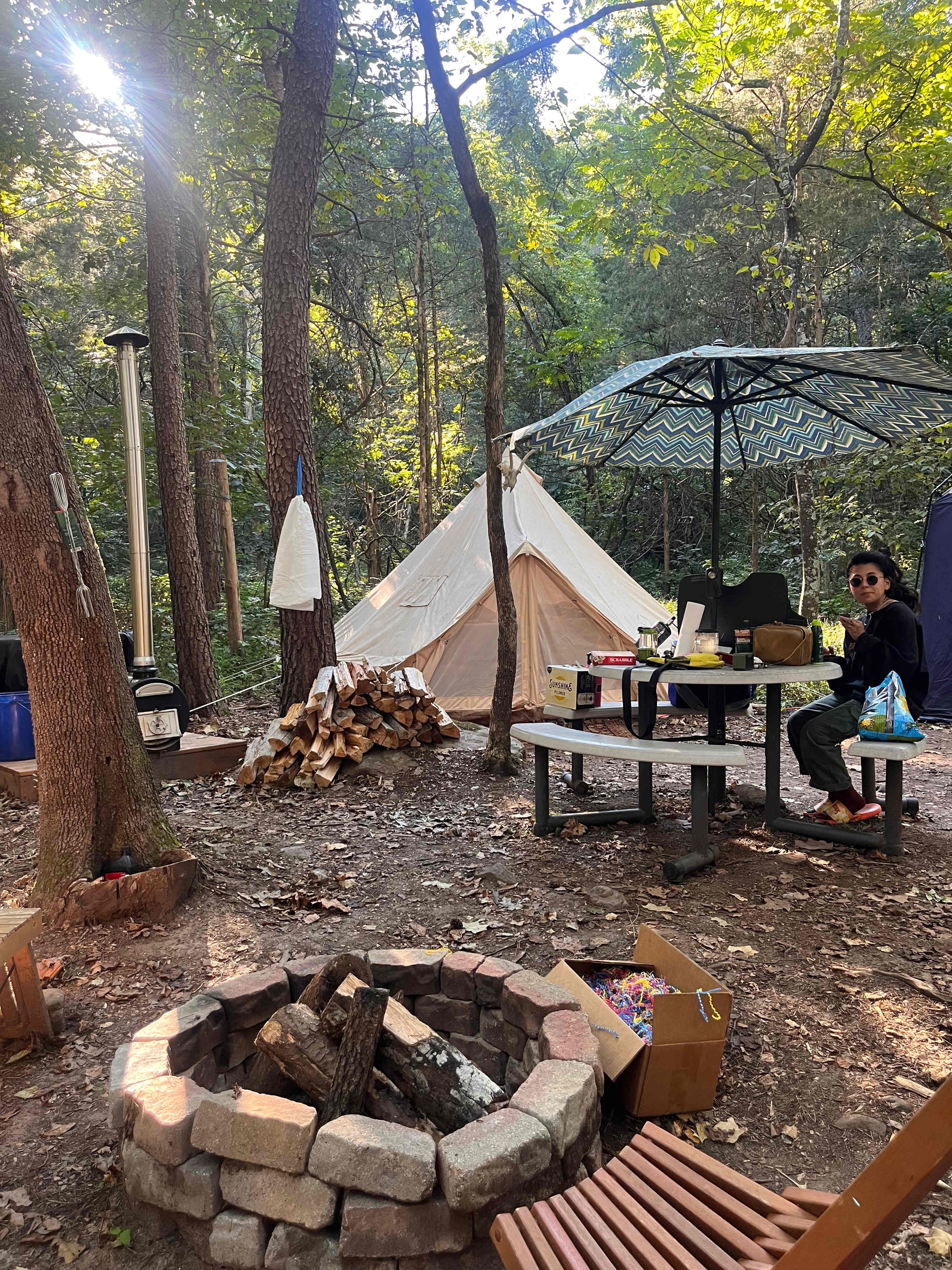 Nicholson’s Wonder Forest