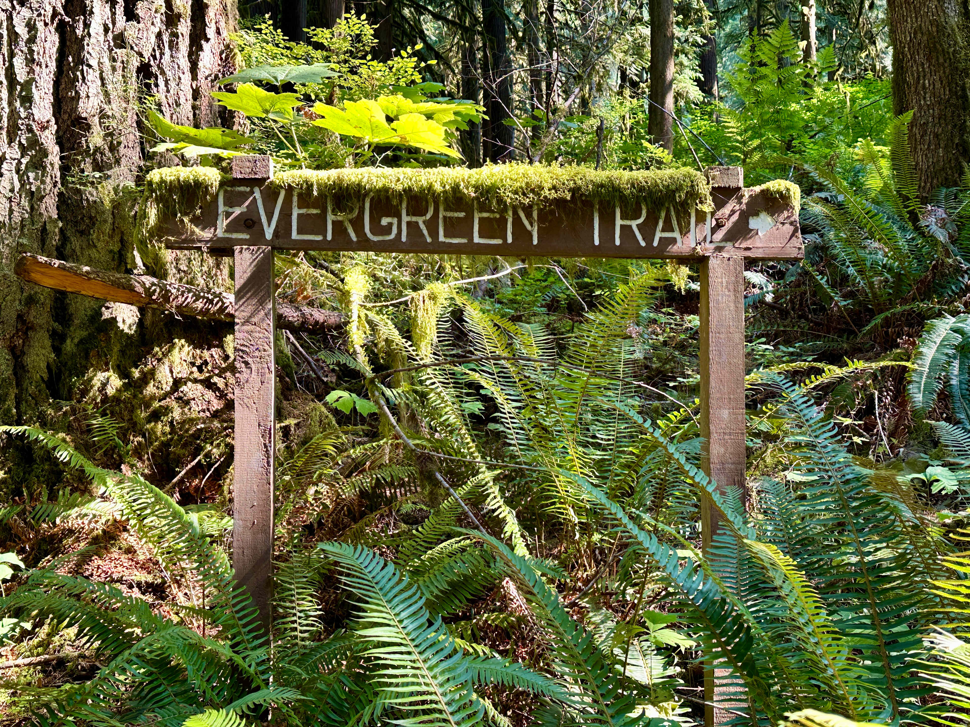 Harrison Family Farm