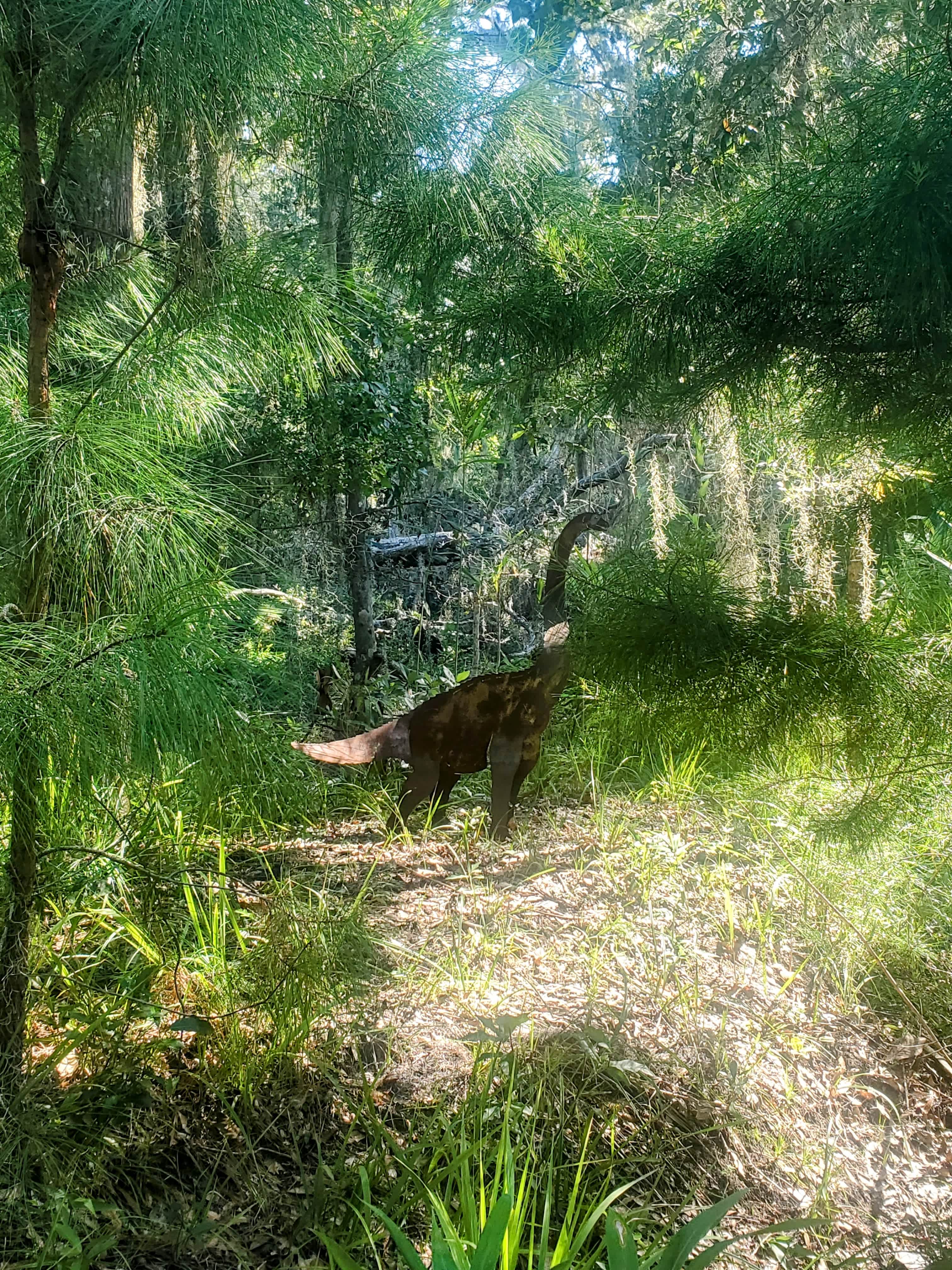 Dinosaur 🦖 in the wild 