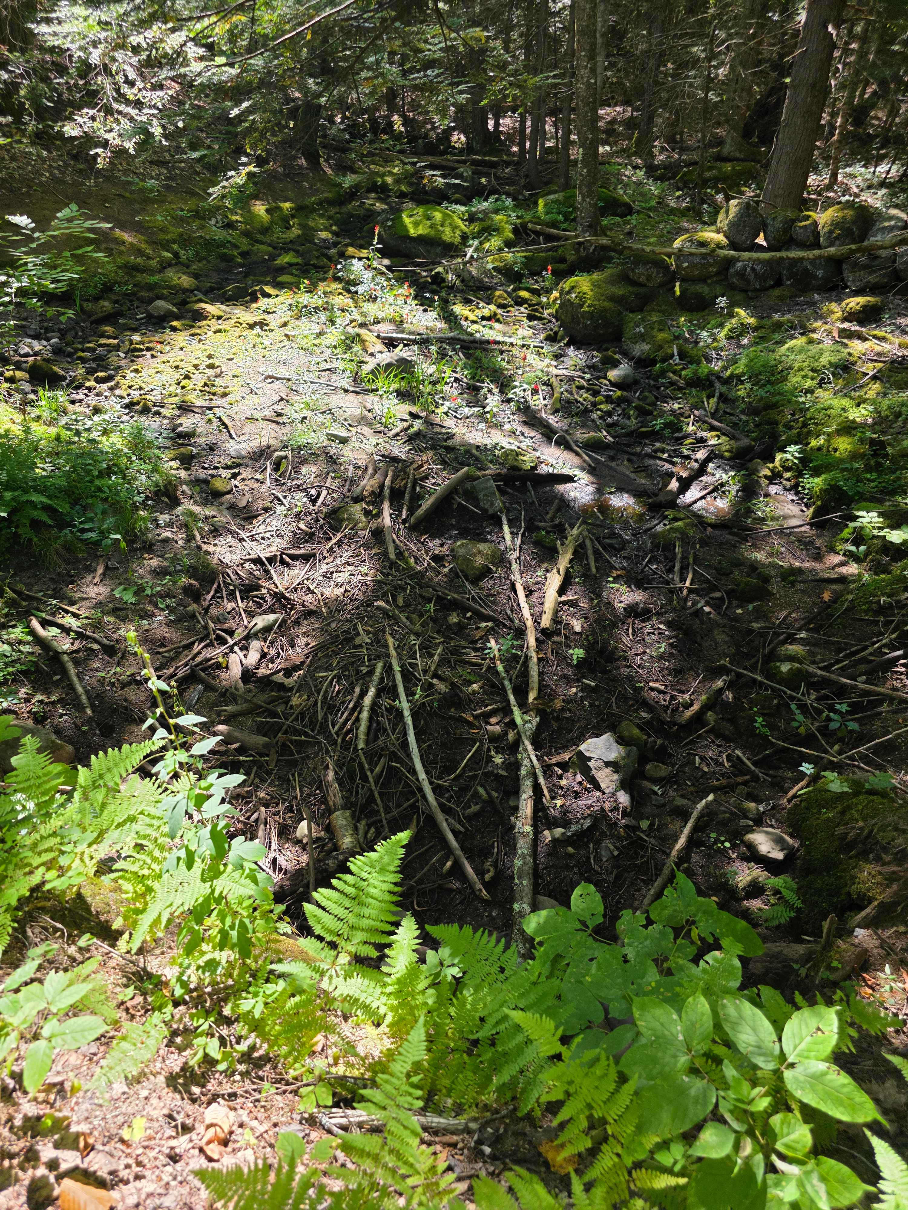 Spacious Skies French Pond Campground