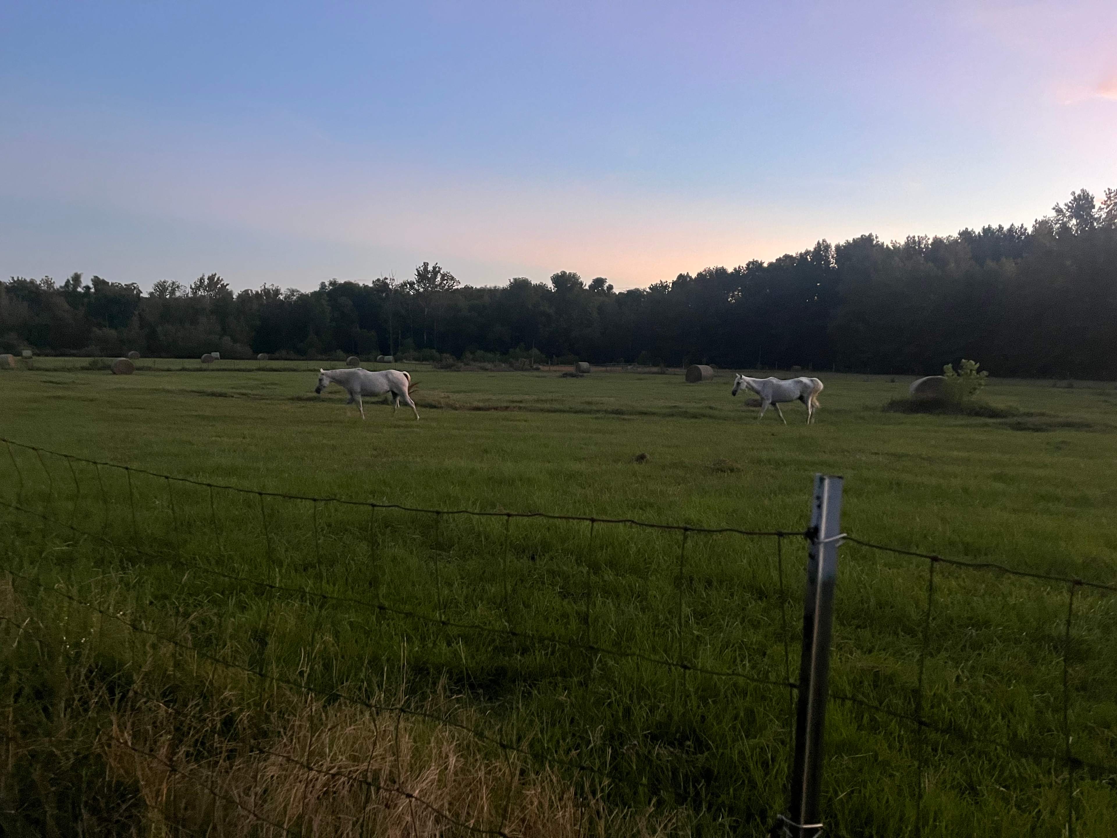 Moon Lake Farm - Camp, Fish, Relax