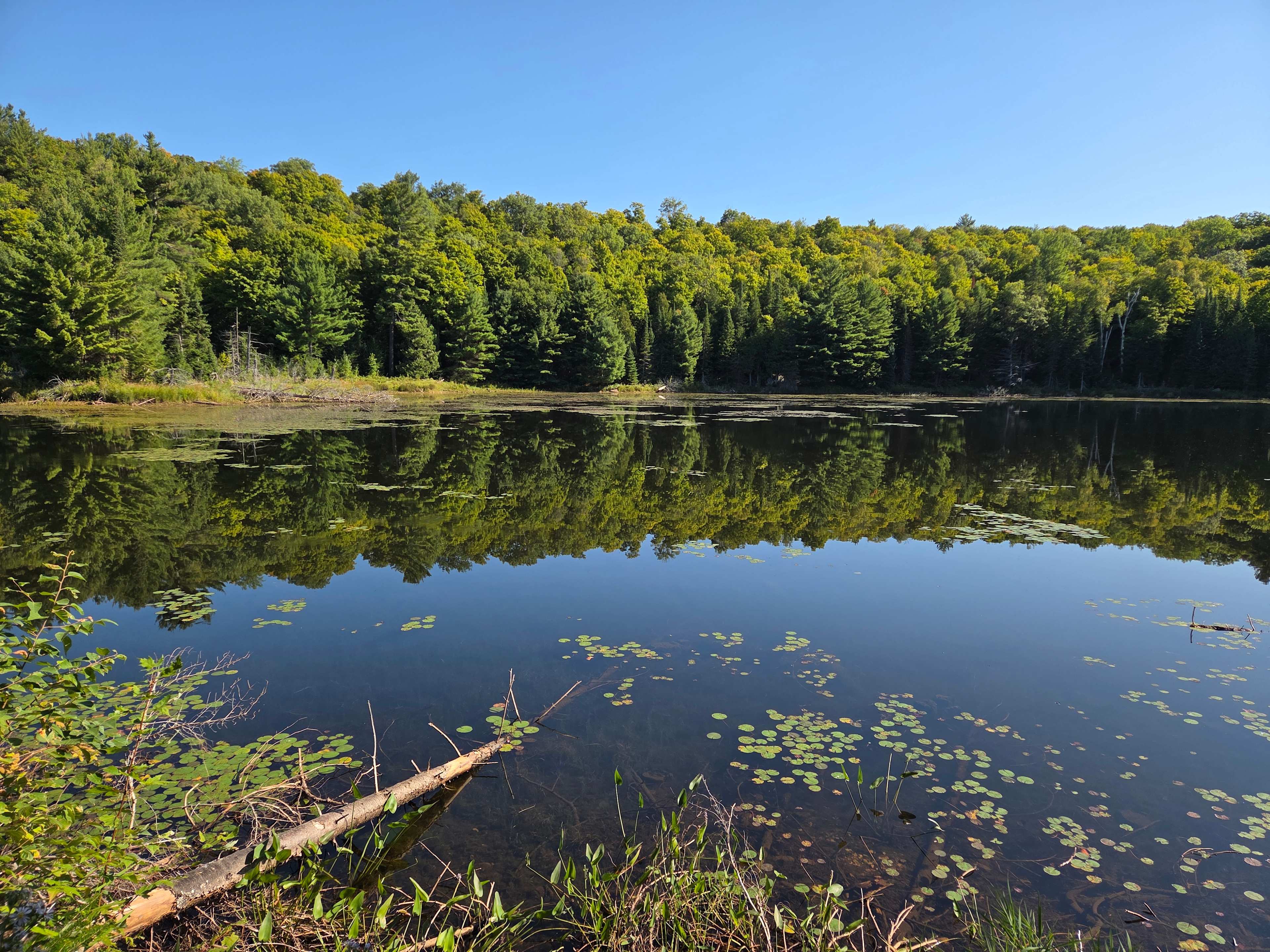 Ball Lake Tent Camping