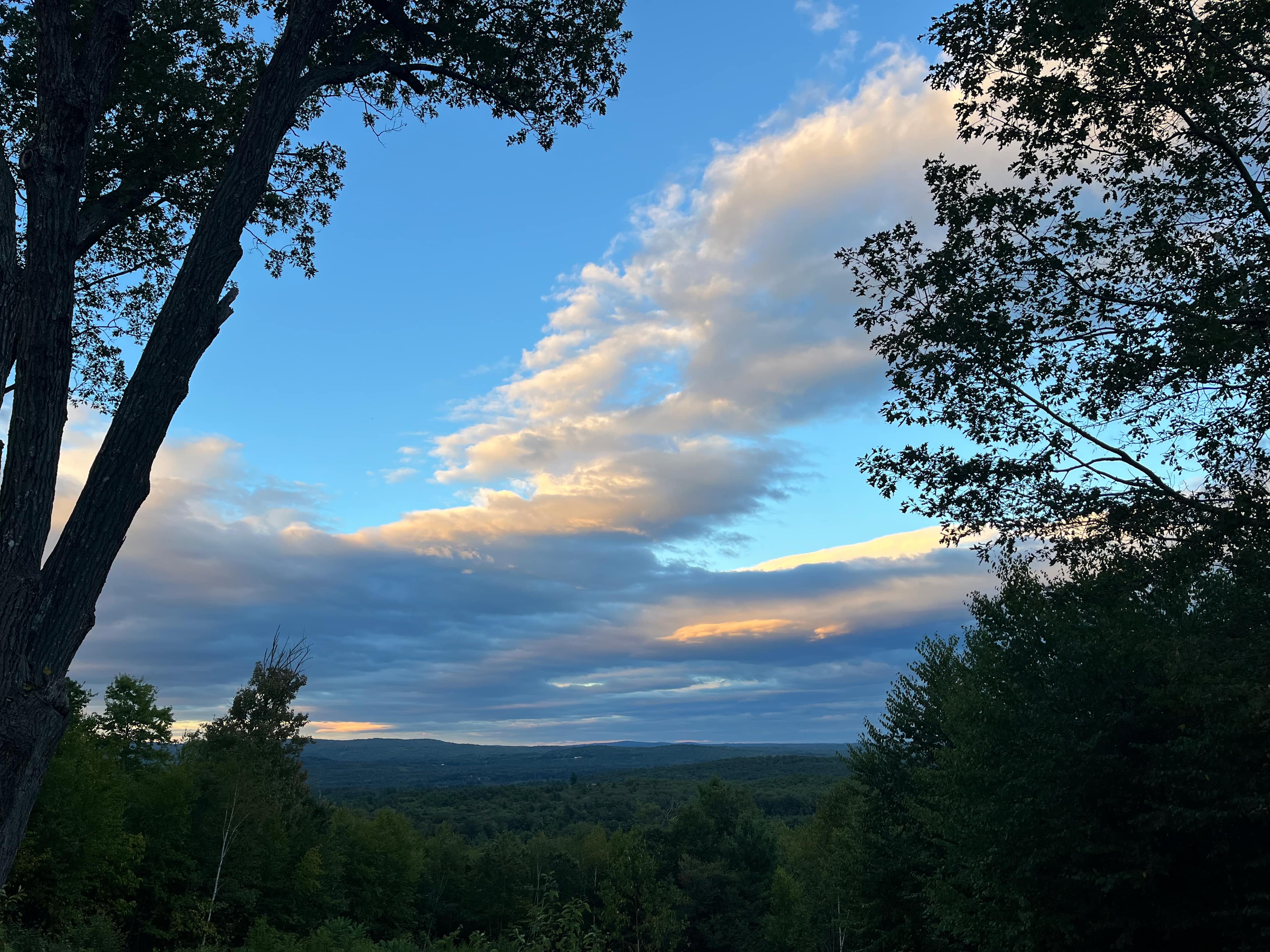 The Owls Nest @ Pustizzi Fruit Farm
