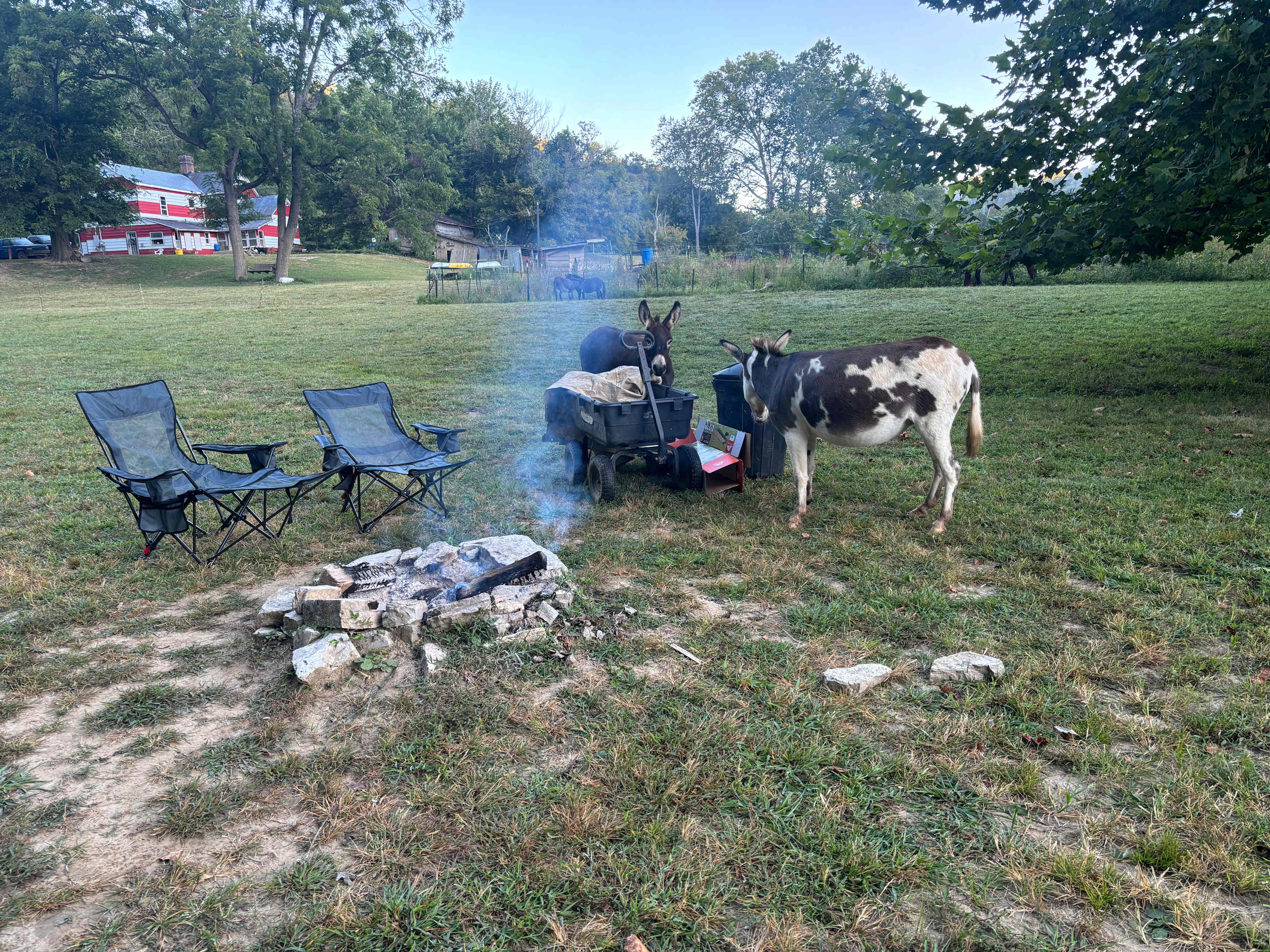 Wildcat Creek Farm in Tyrone