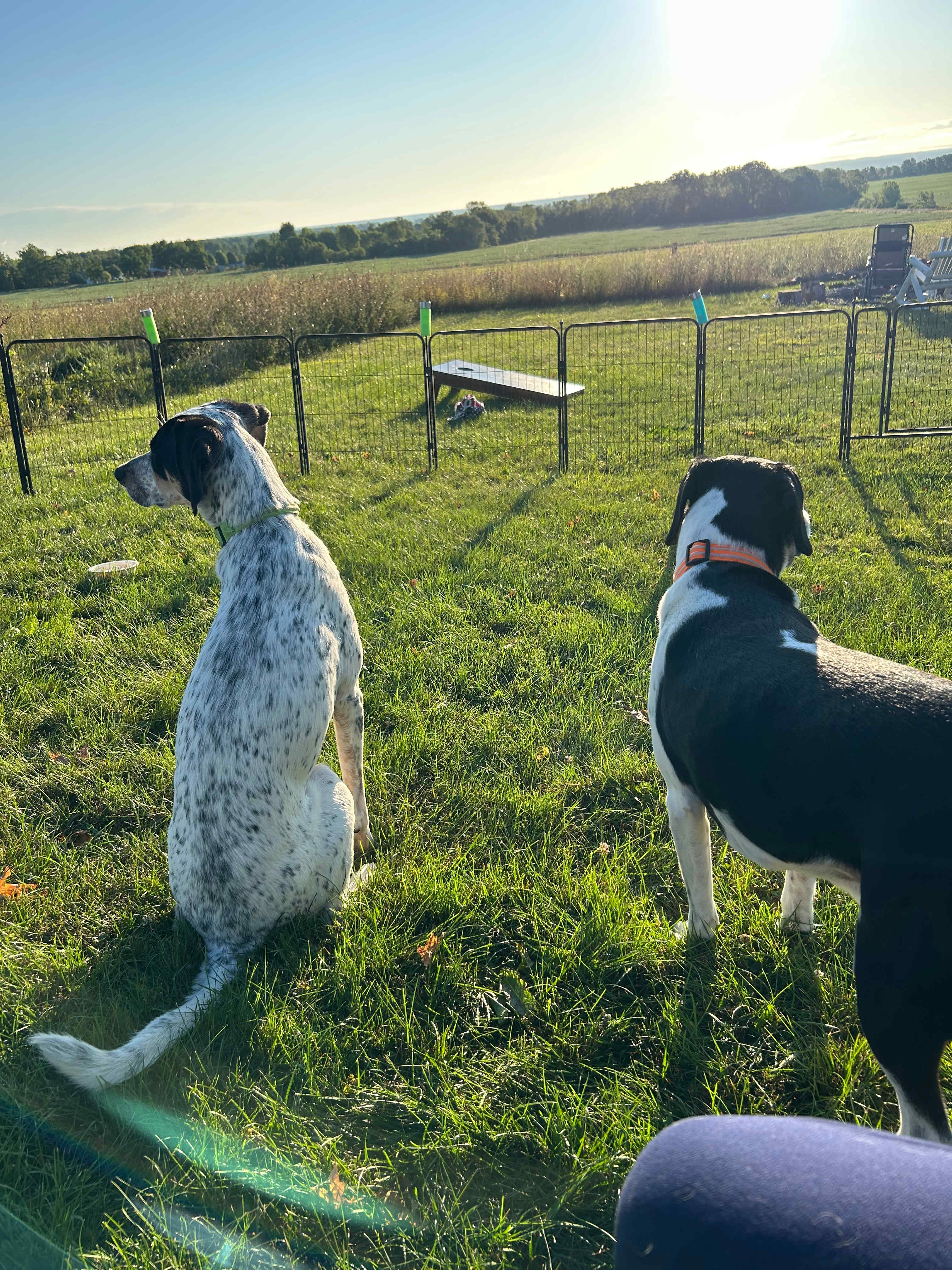 Yost Ridge in the Finger Lakes