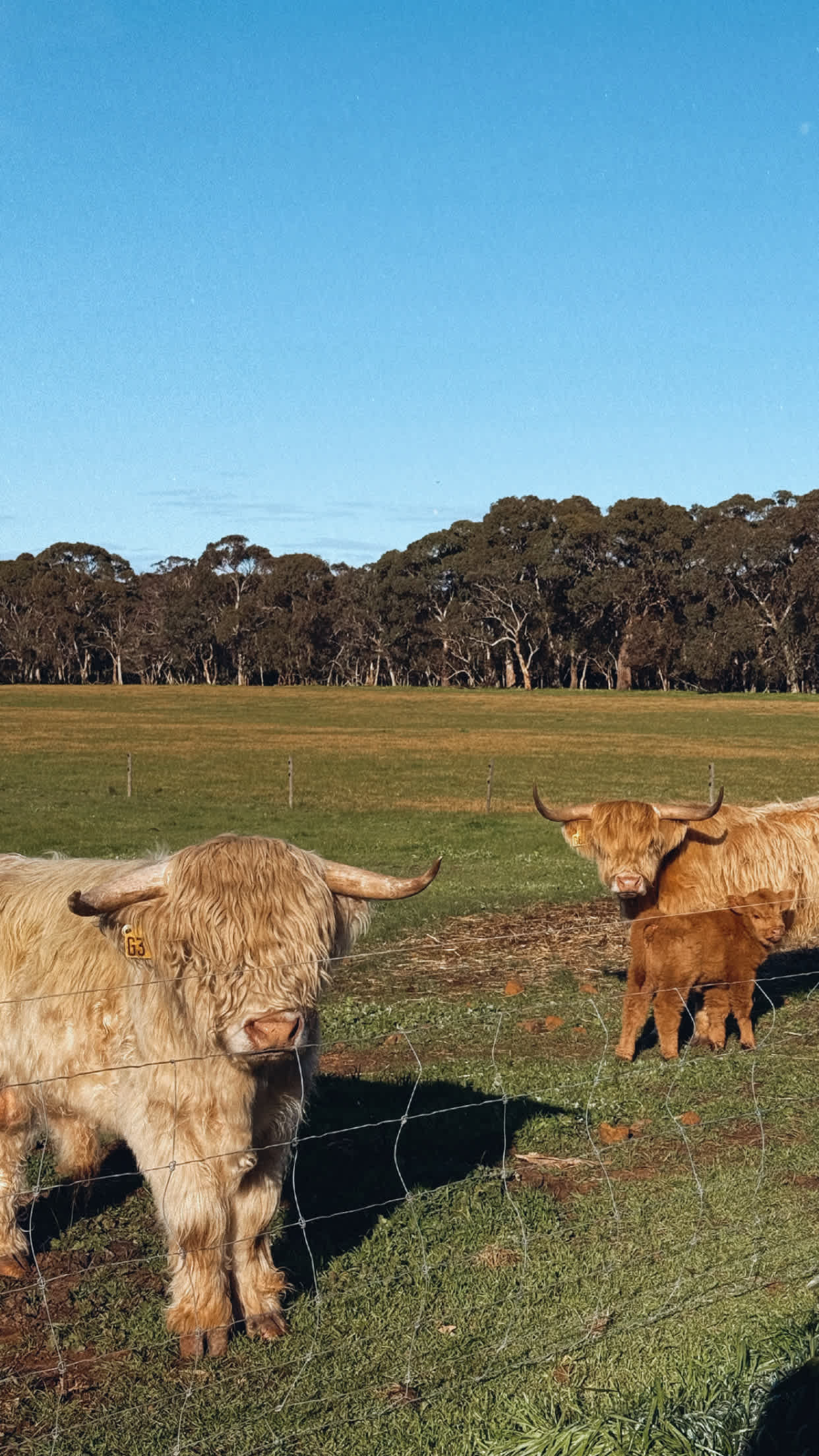 Breakaway Farmstay