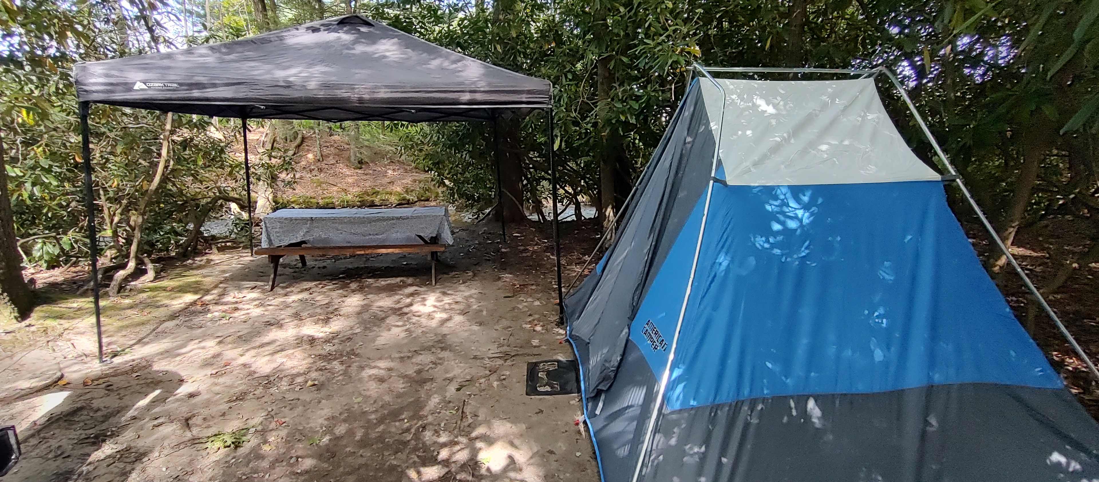 Bald Eagle Campsite