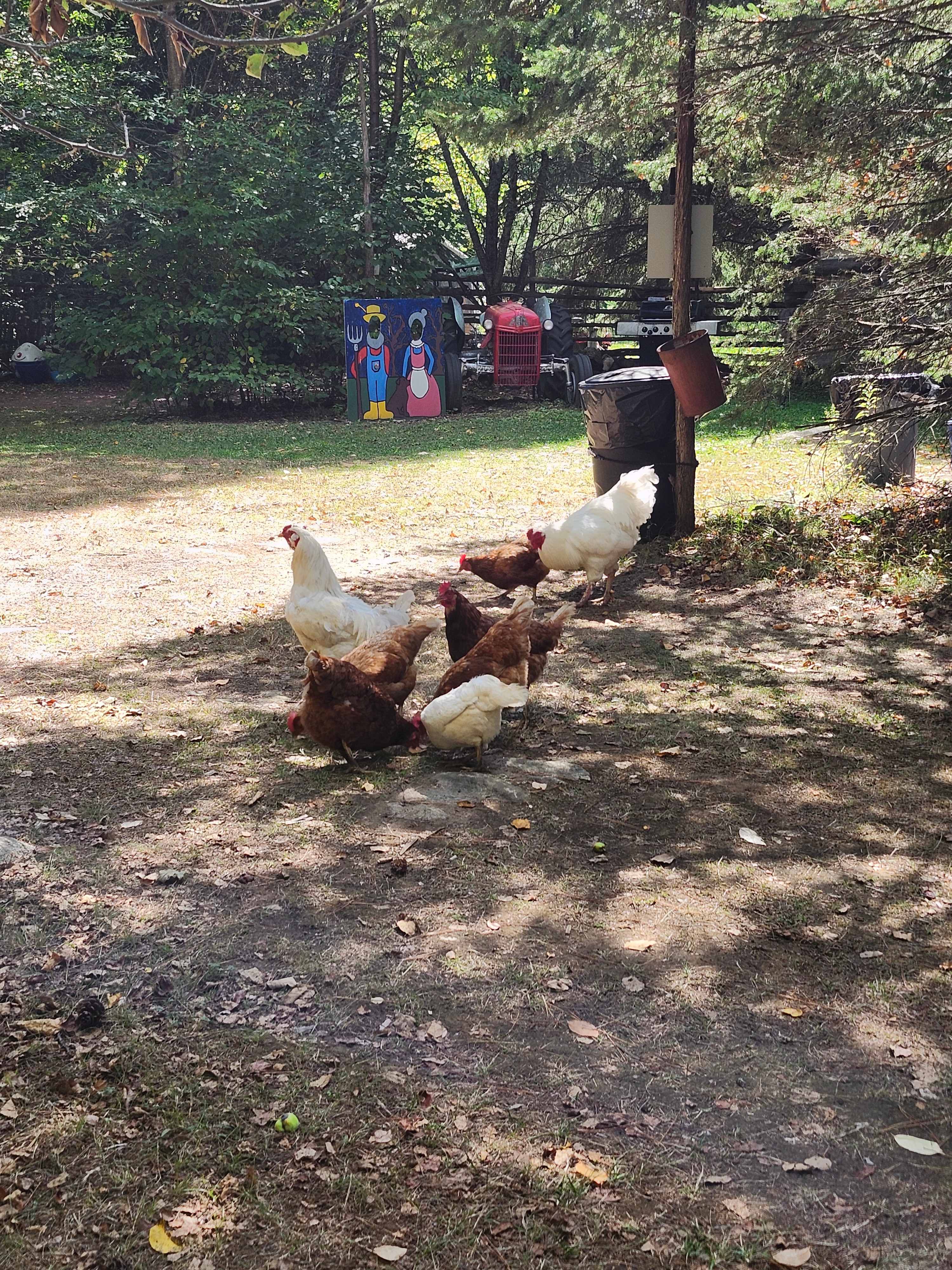 Burke’s Barnyard - Farm Camping