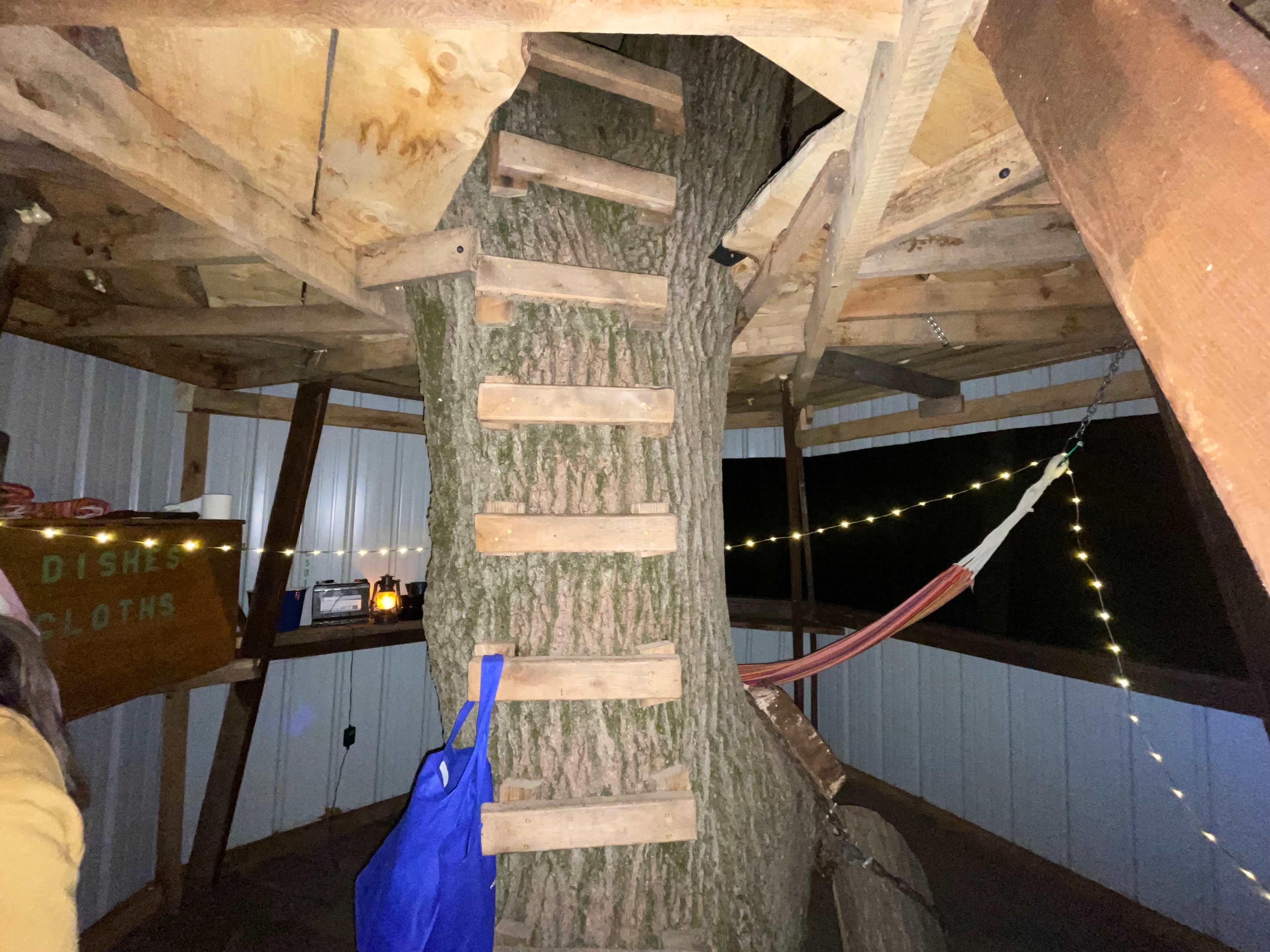 Provision Family Farms