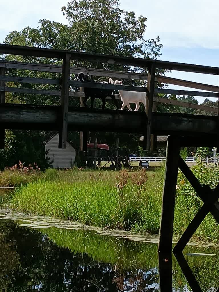 Strawberry Crossroads