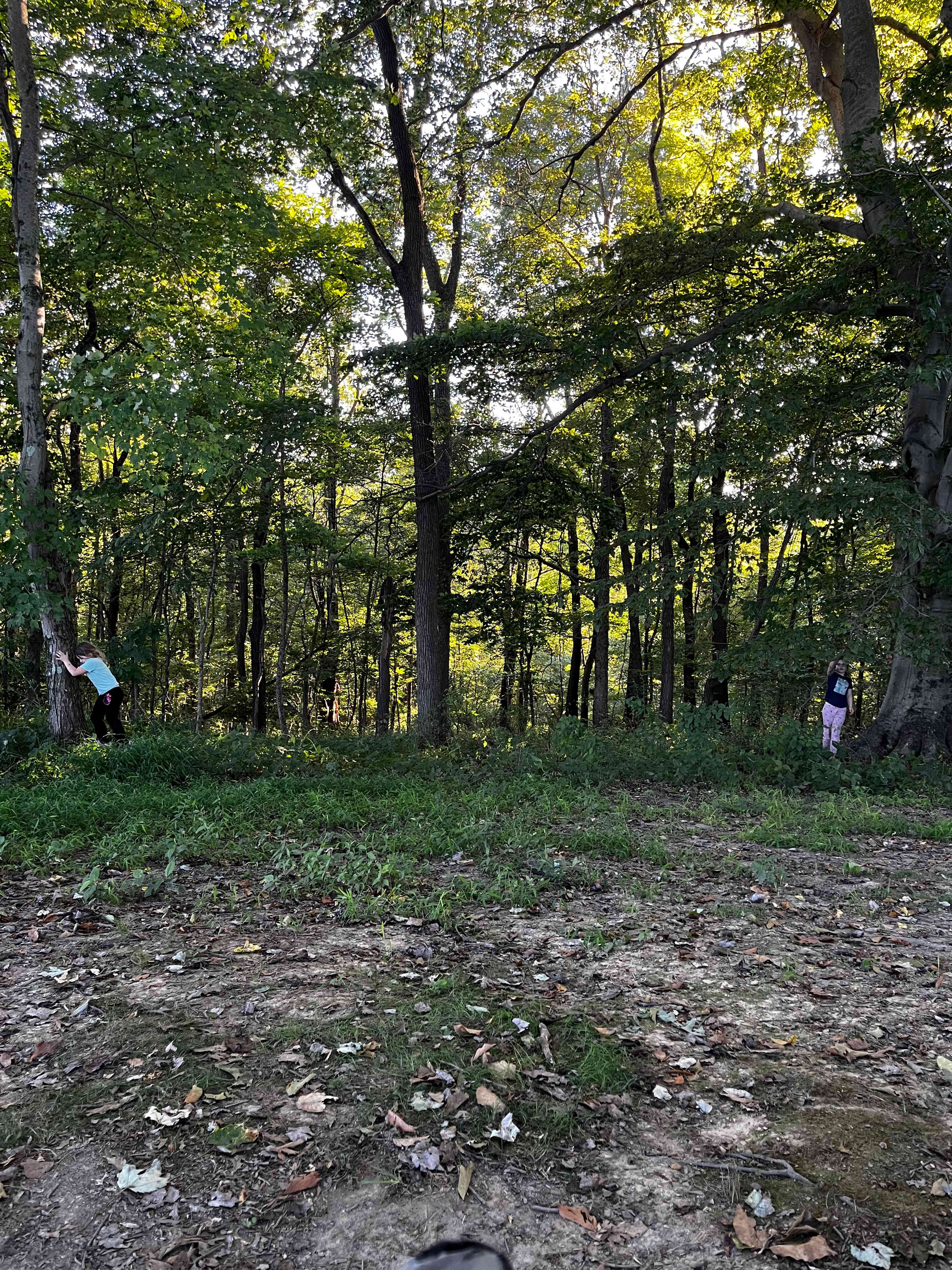 McKee Farm - Treehouses and Camping