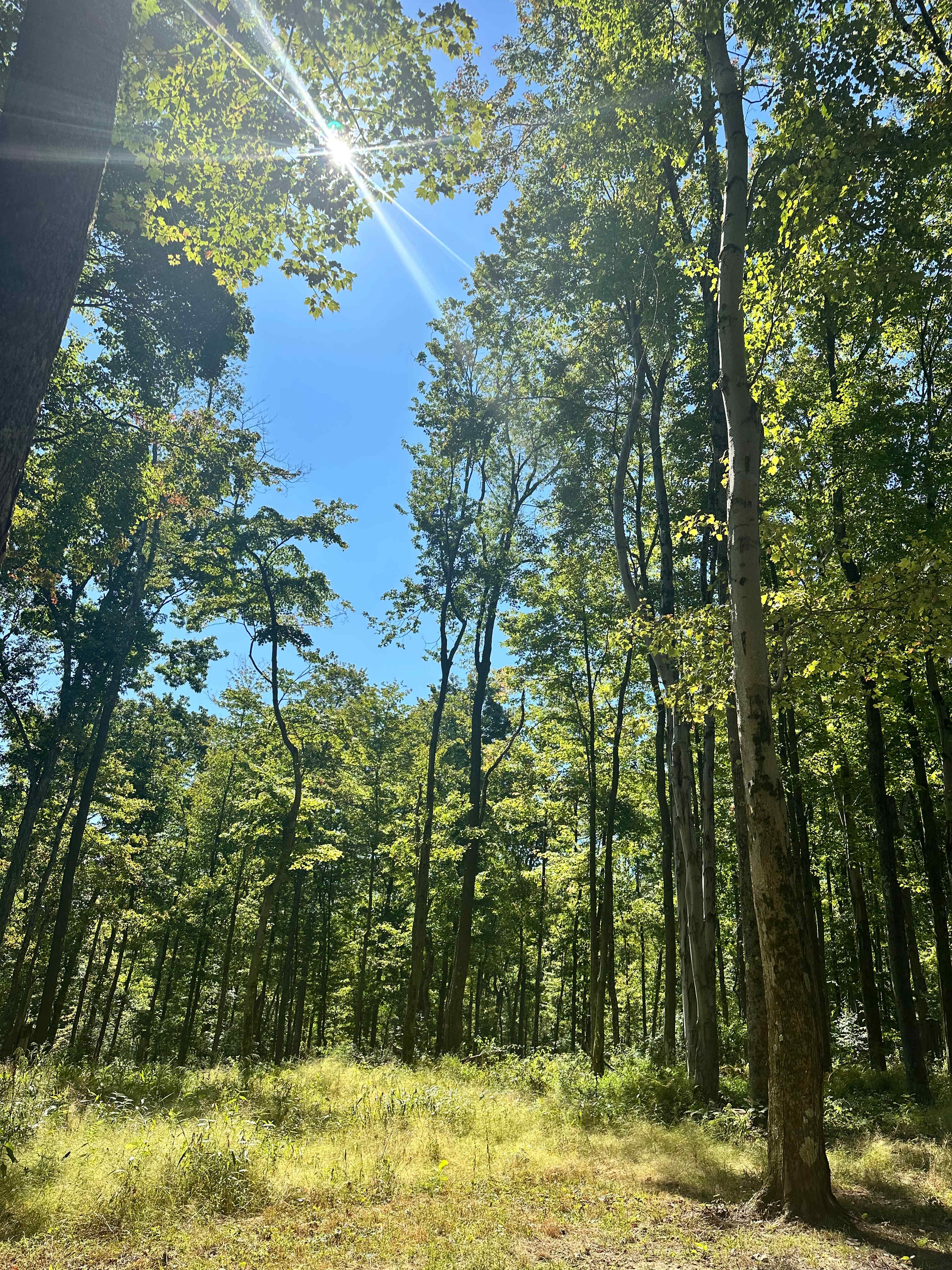 Presidential Primitive Getaway