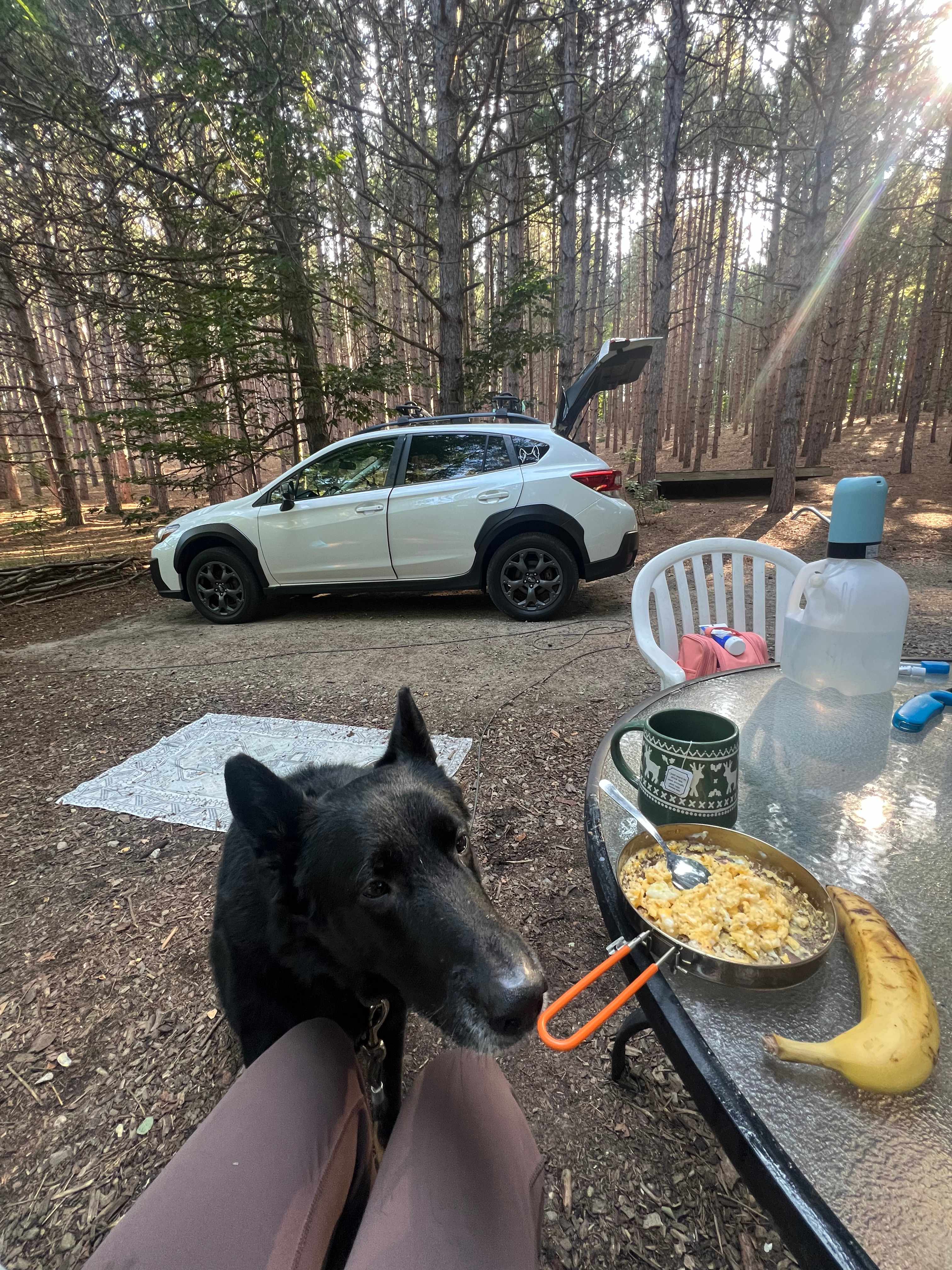 Camp Moonshadow