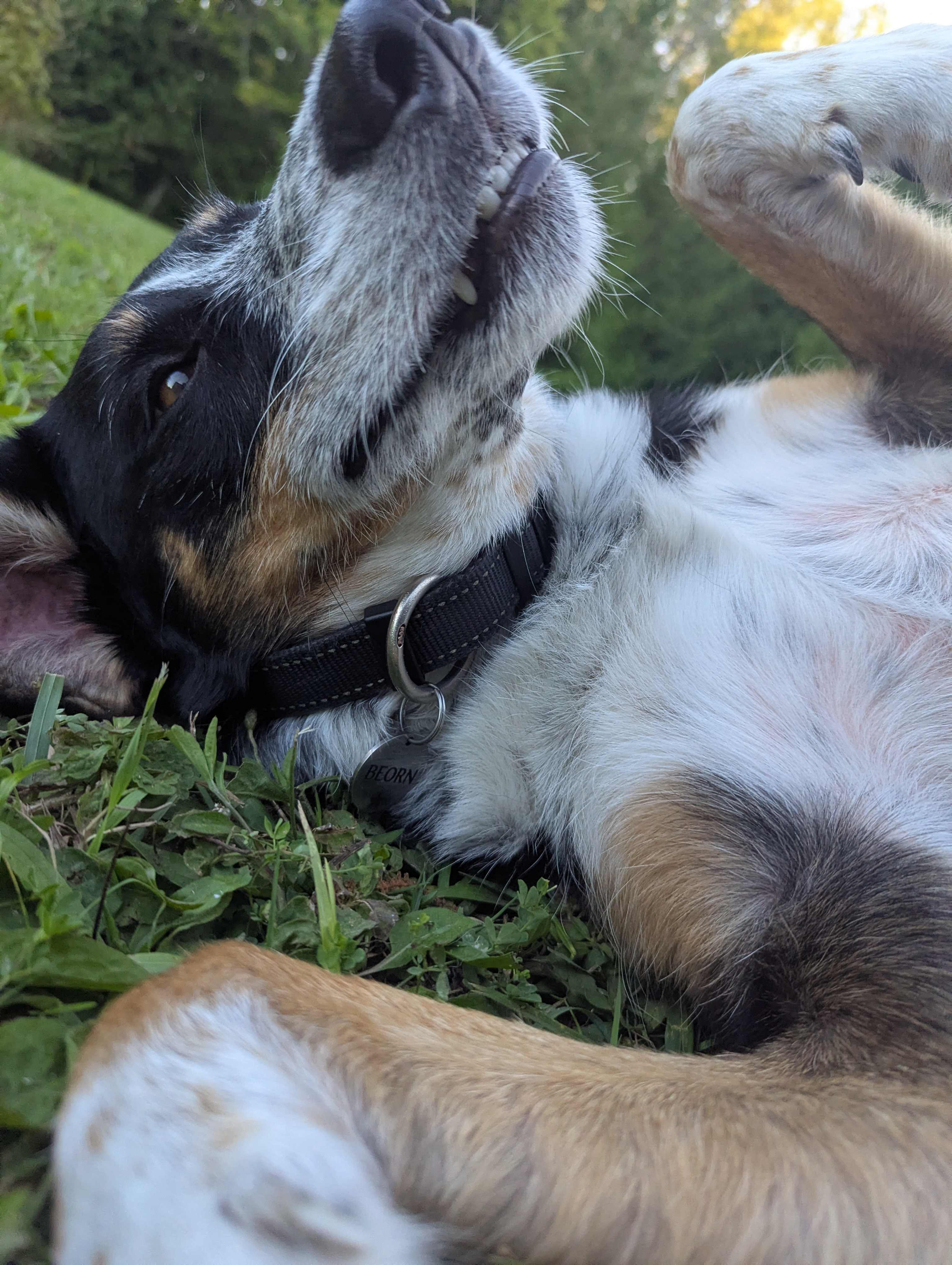 Olde Eden on Mountain Lake