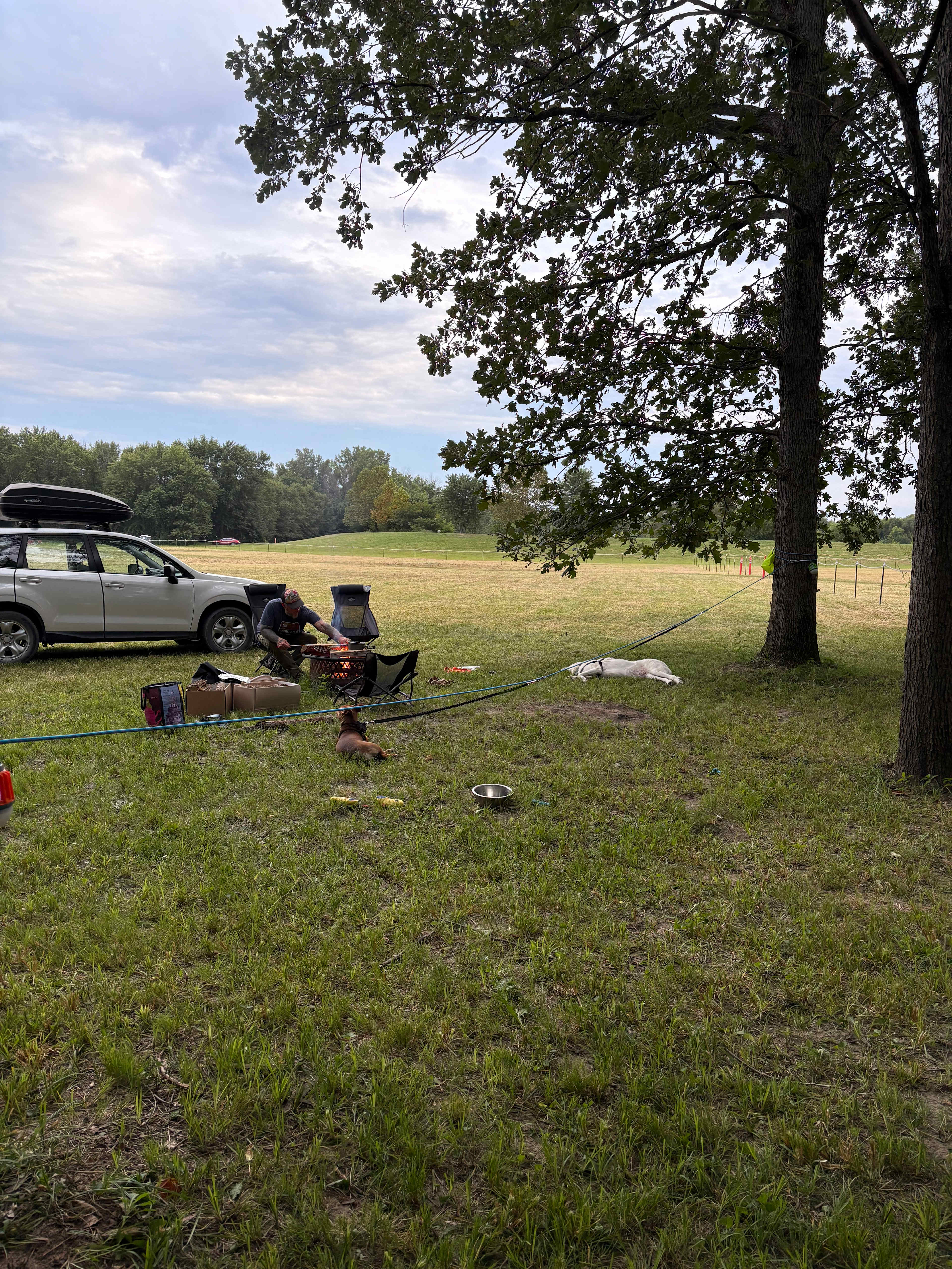 Harmony Lake Farm Park & Playground