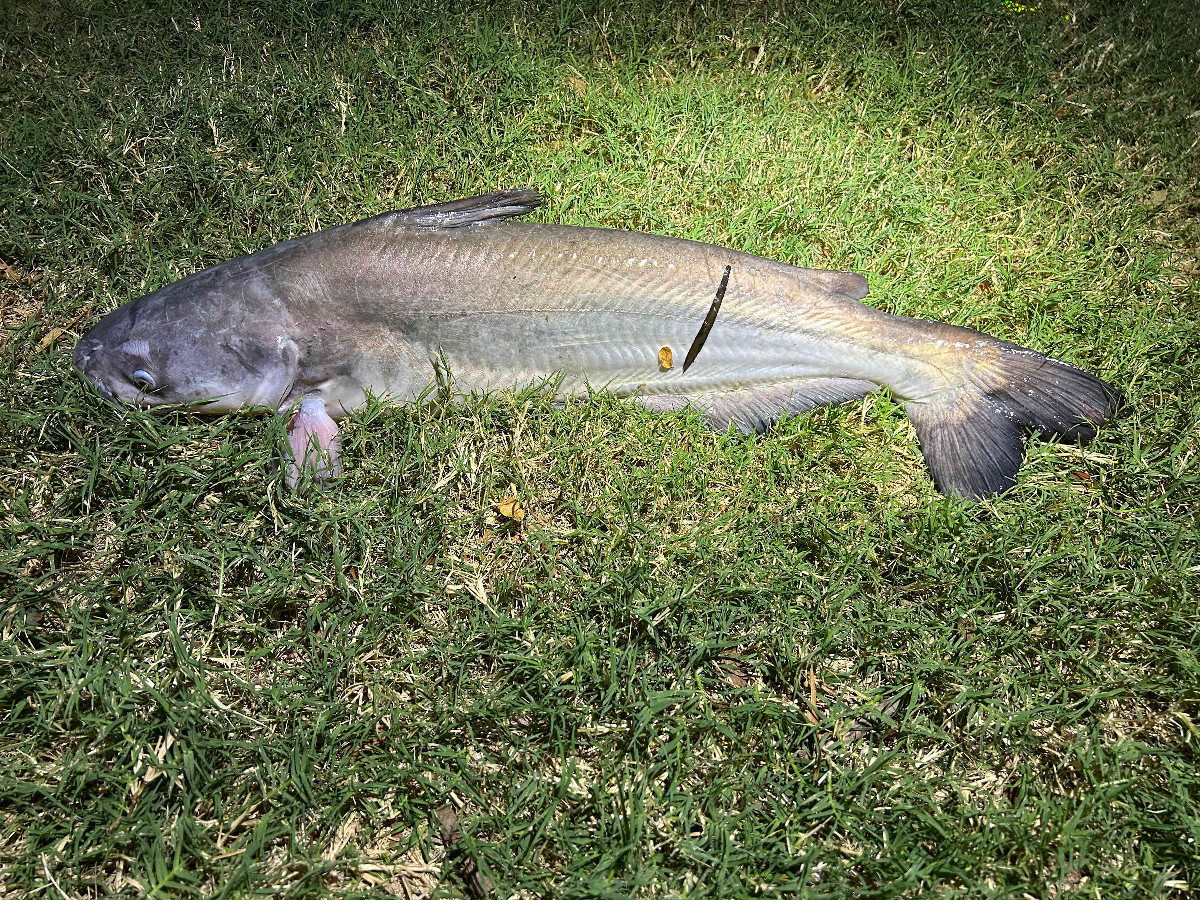 Jim Ned River Front Getaway