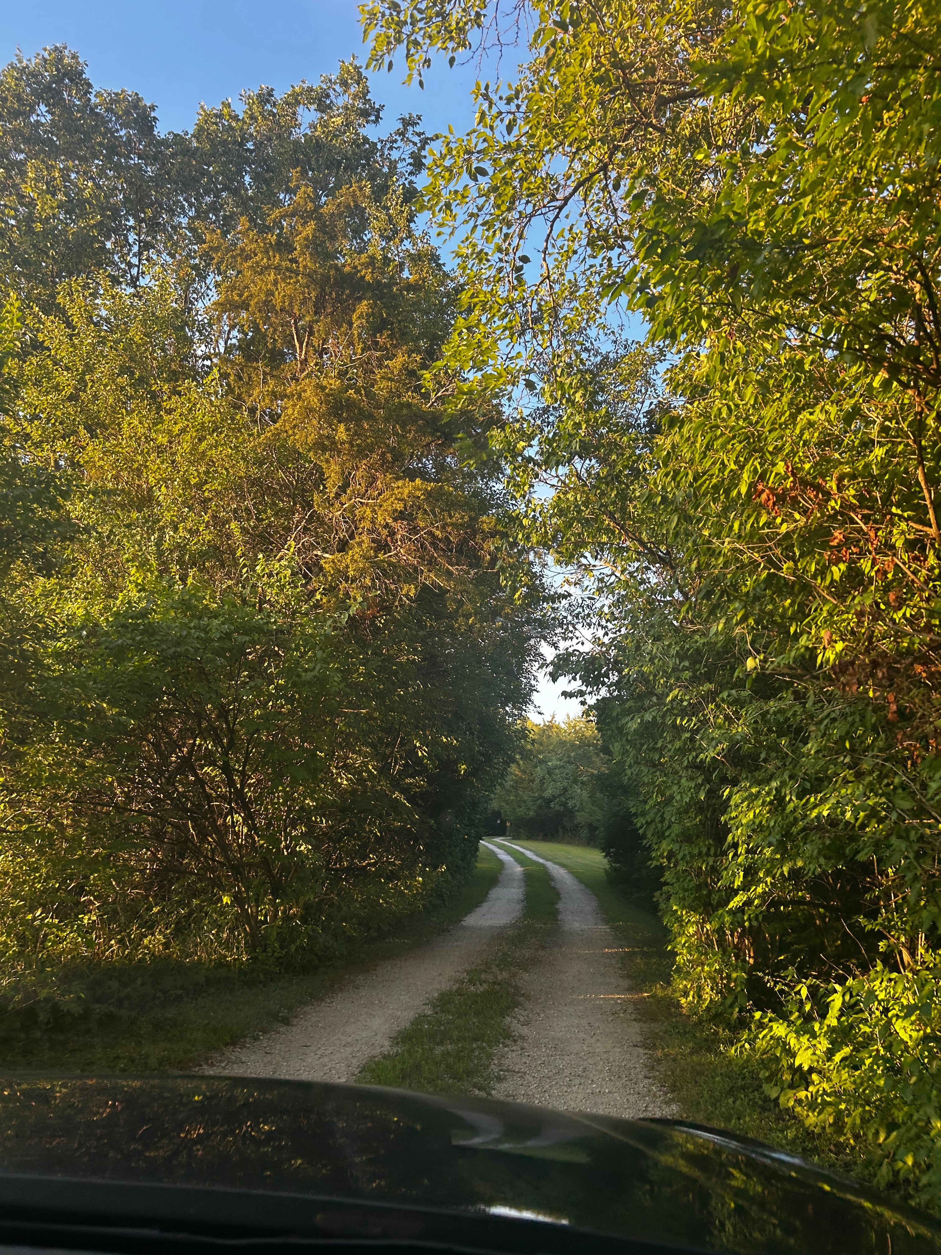 Beautiful drive into Angel Creek