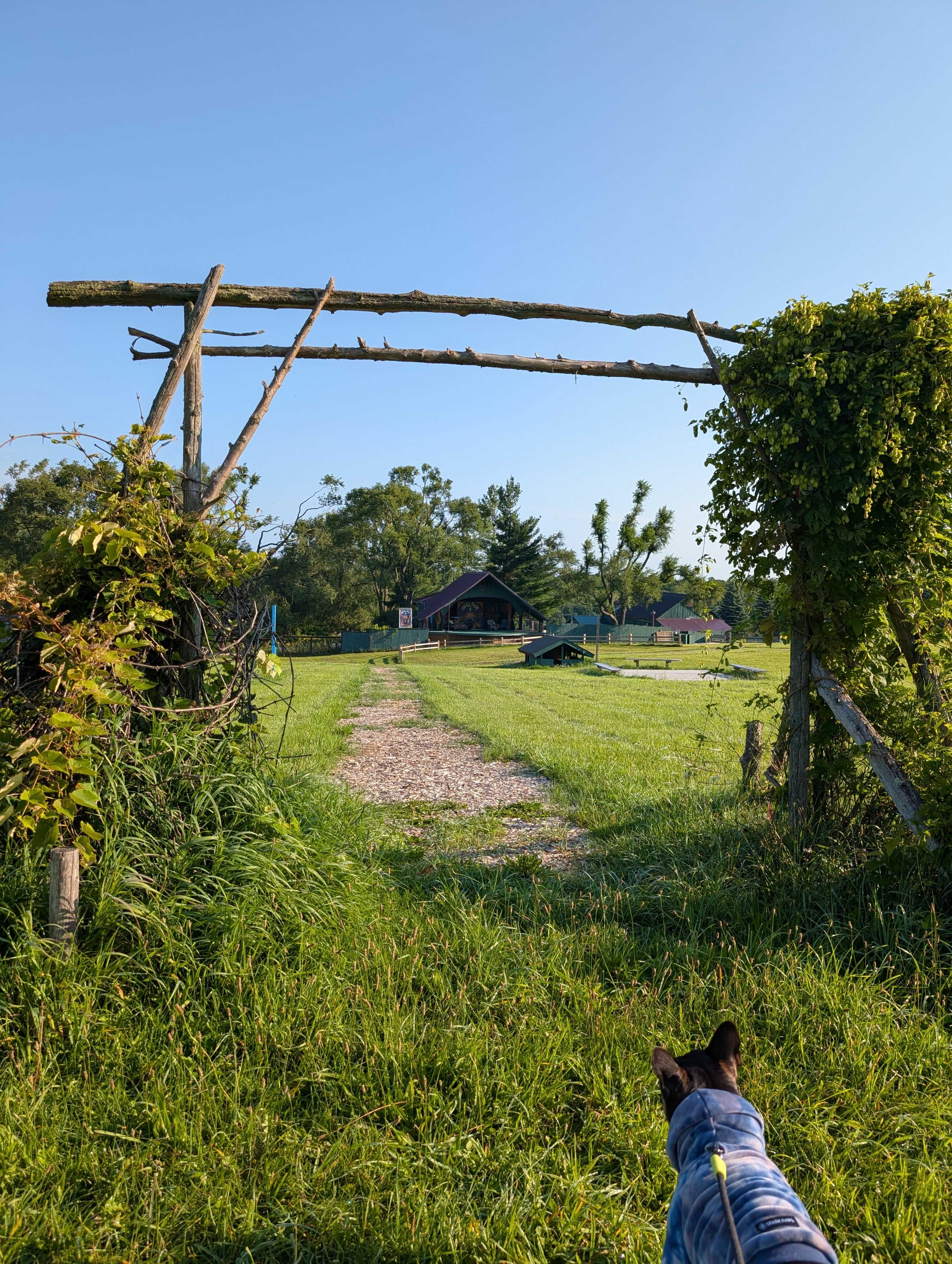 Blissfest Festival Farm