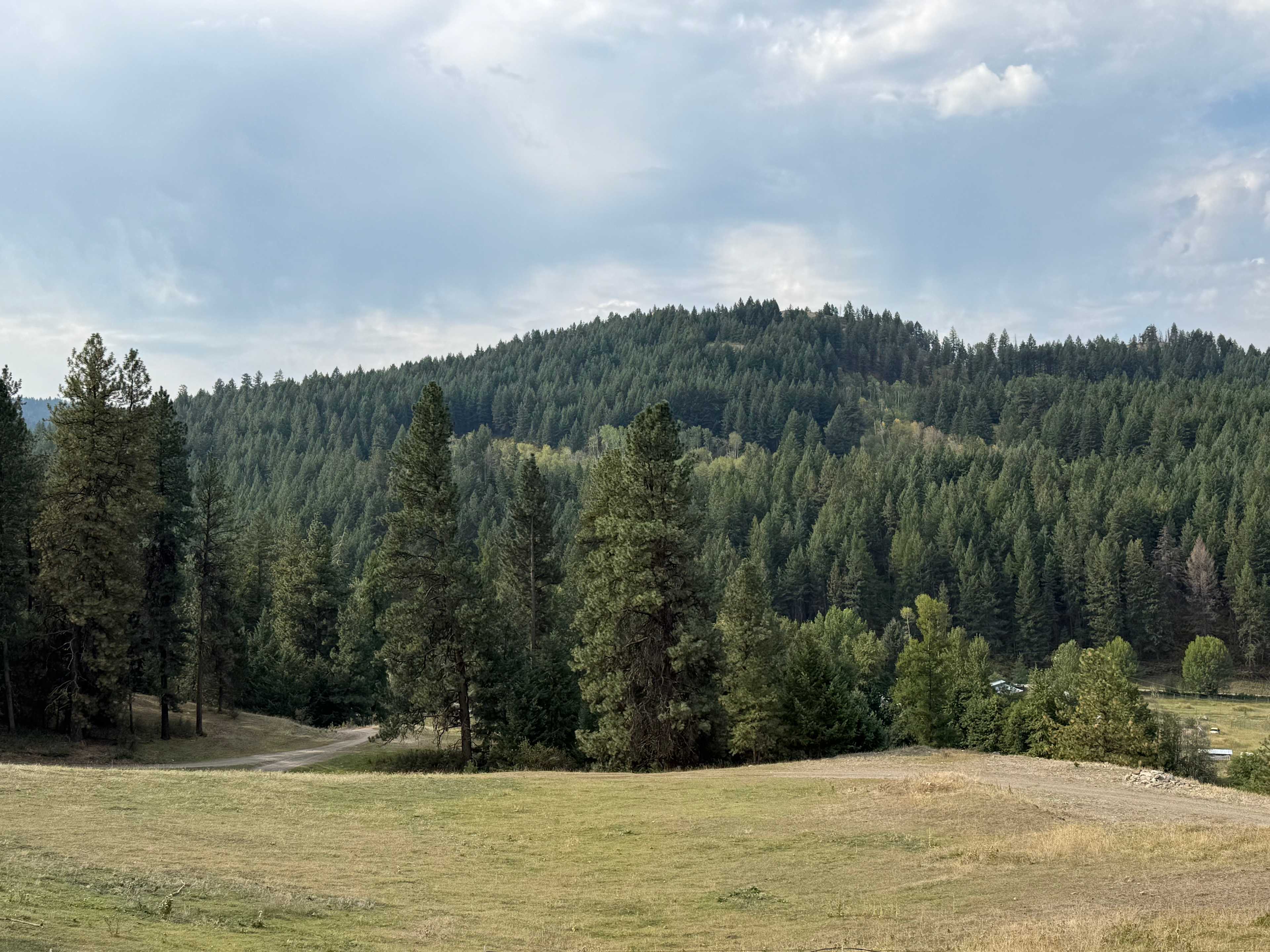 View from nearby hill