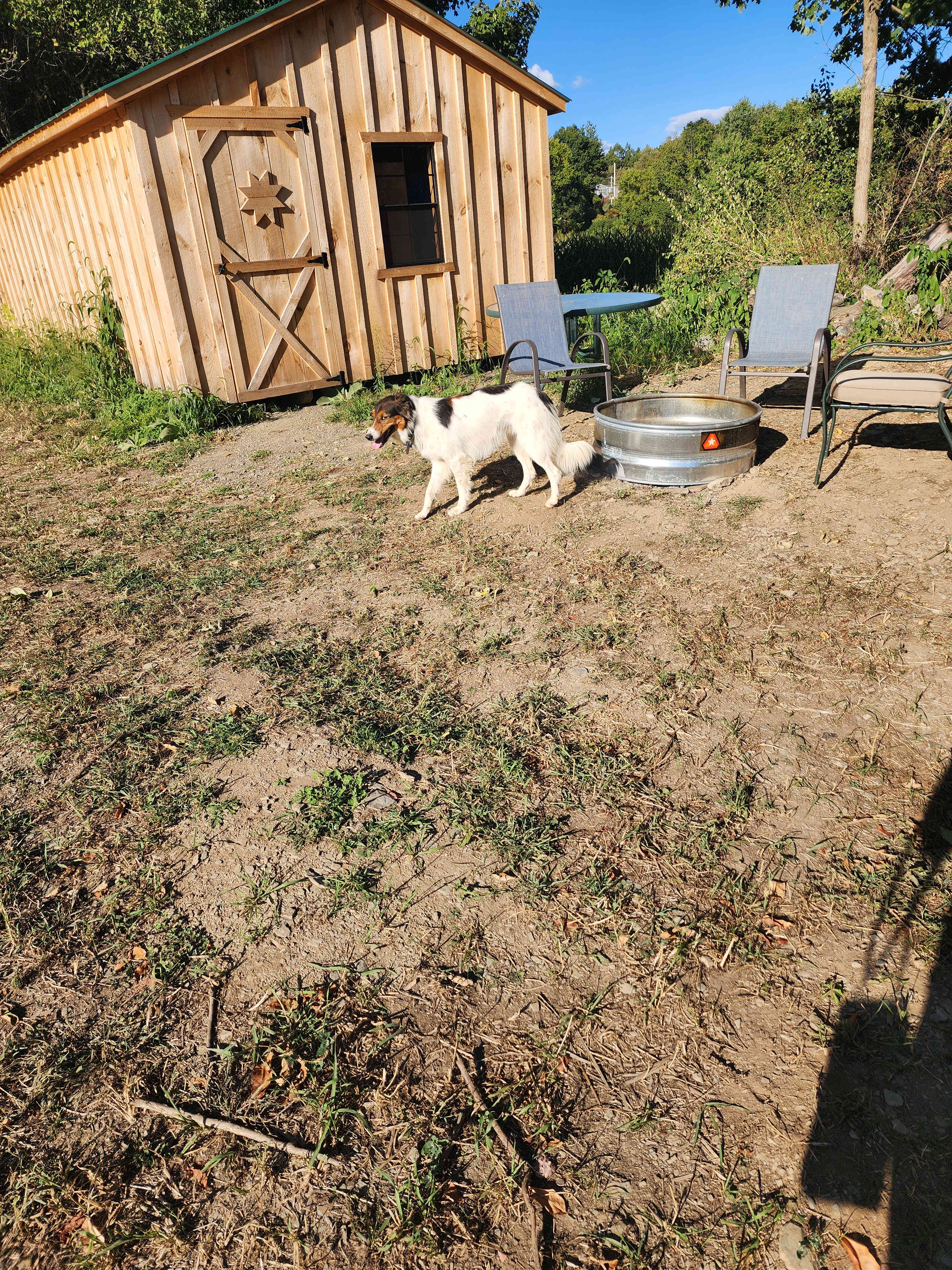 Dickensen Farm: Cabins & Camping