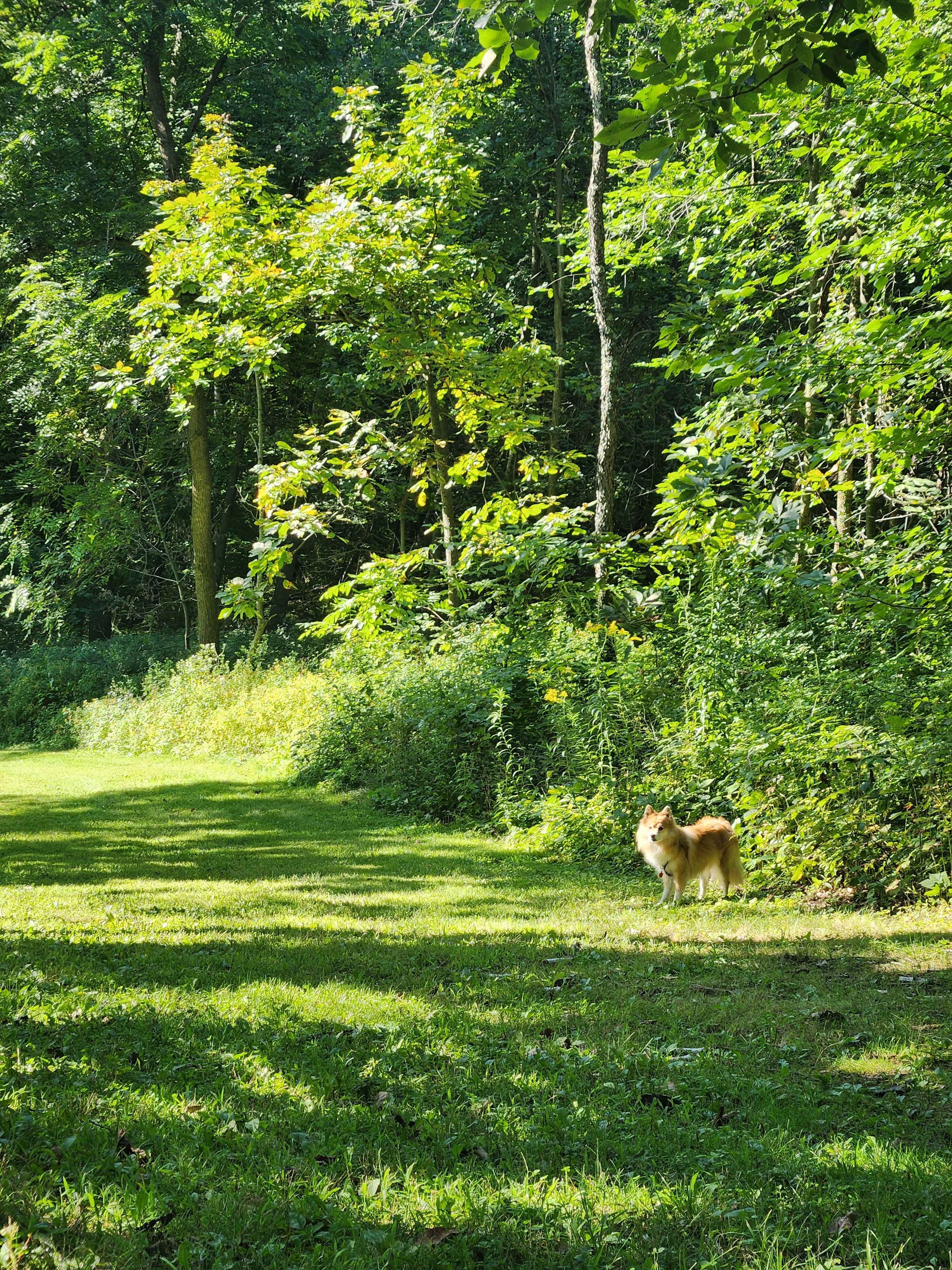 Justin Trails Resort, LLC