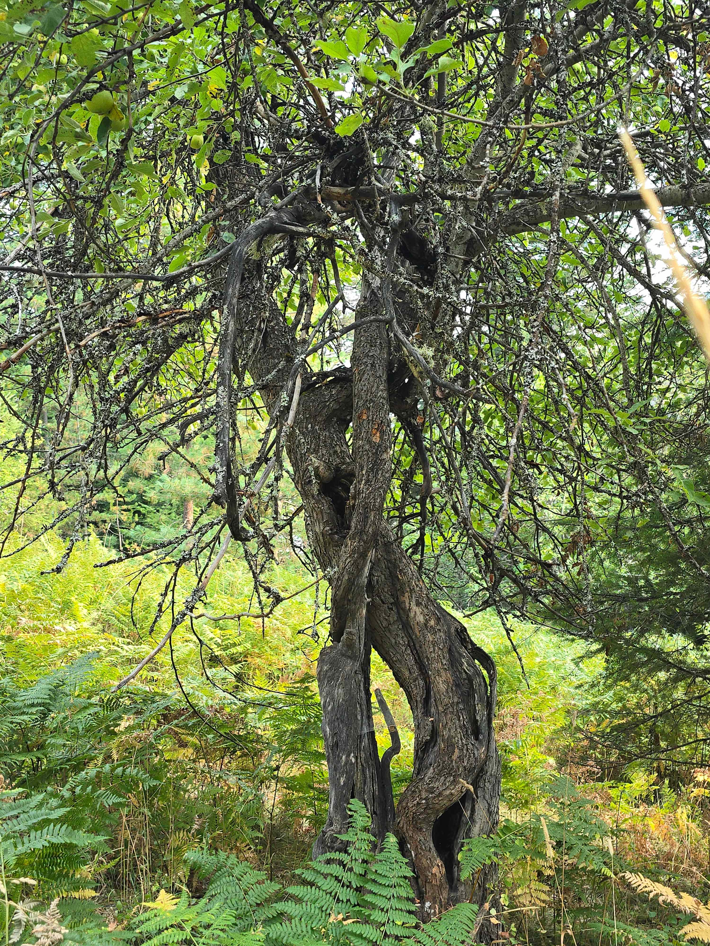 Paradise on Mirror Lake