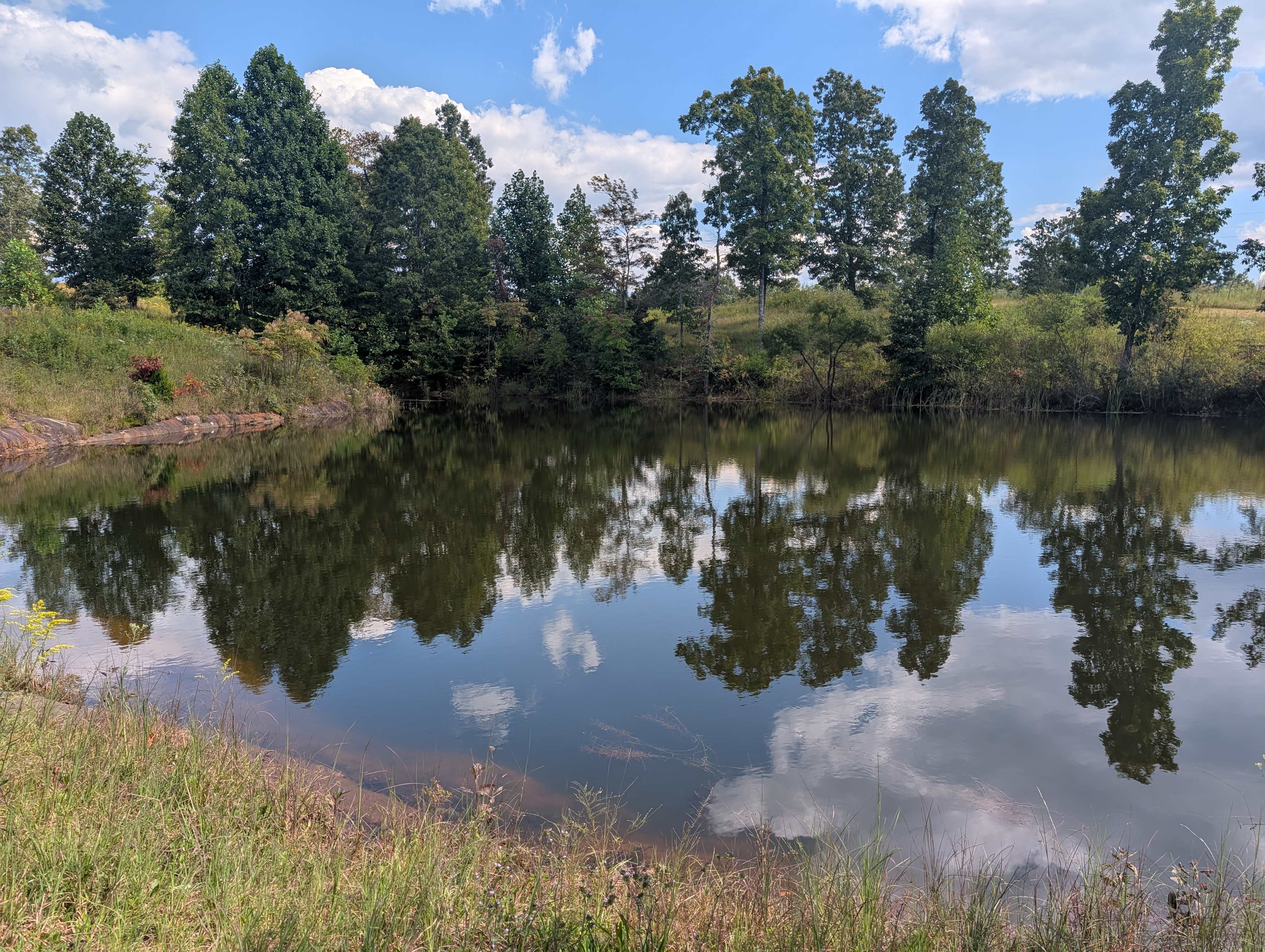 Whippoorwill Woods Nature Retreat