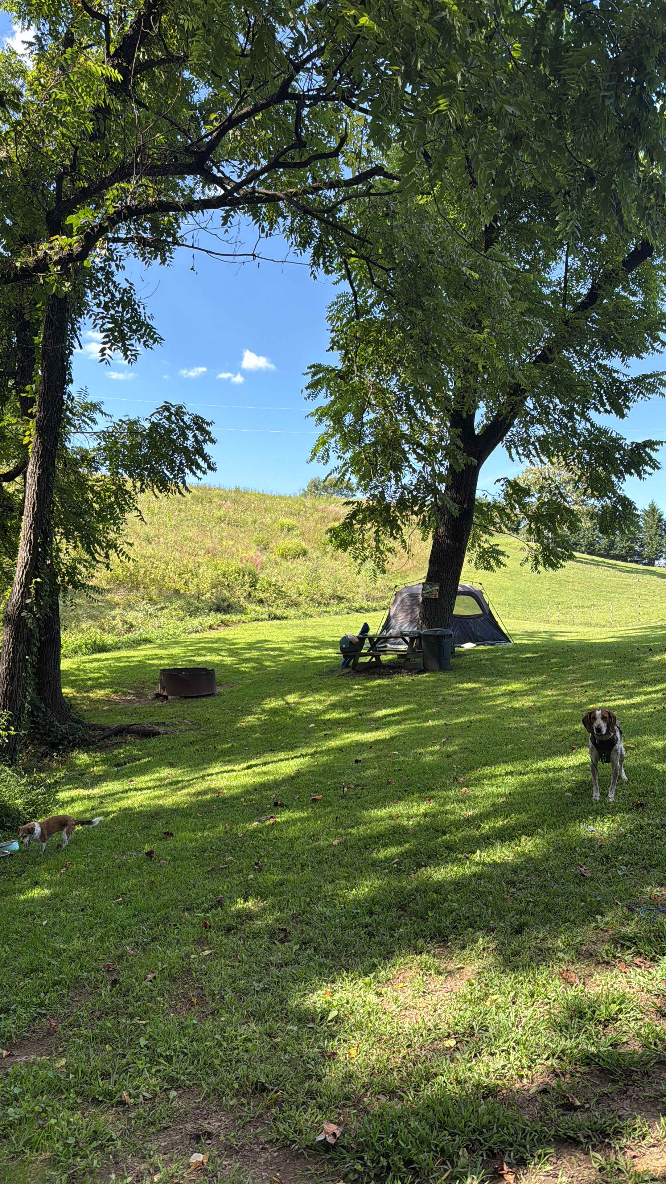 Indian Creek Rental's Mountain Camp