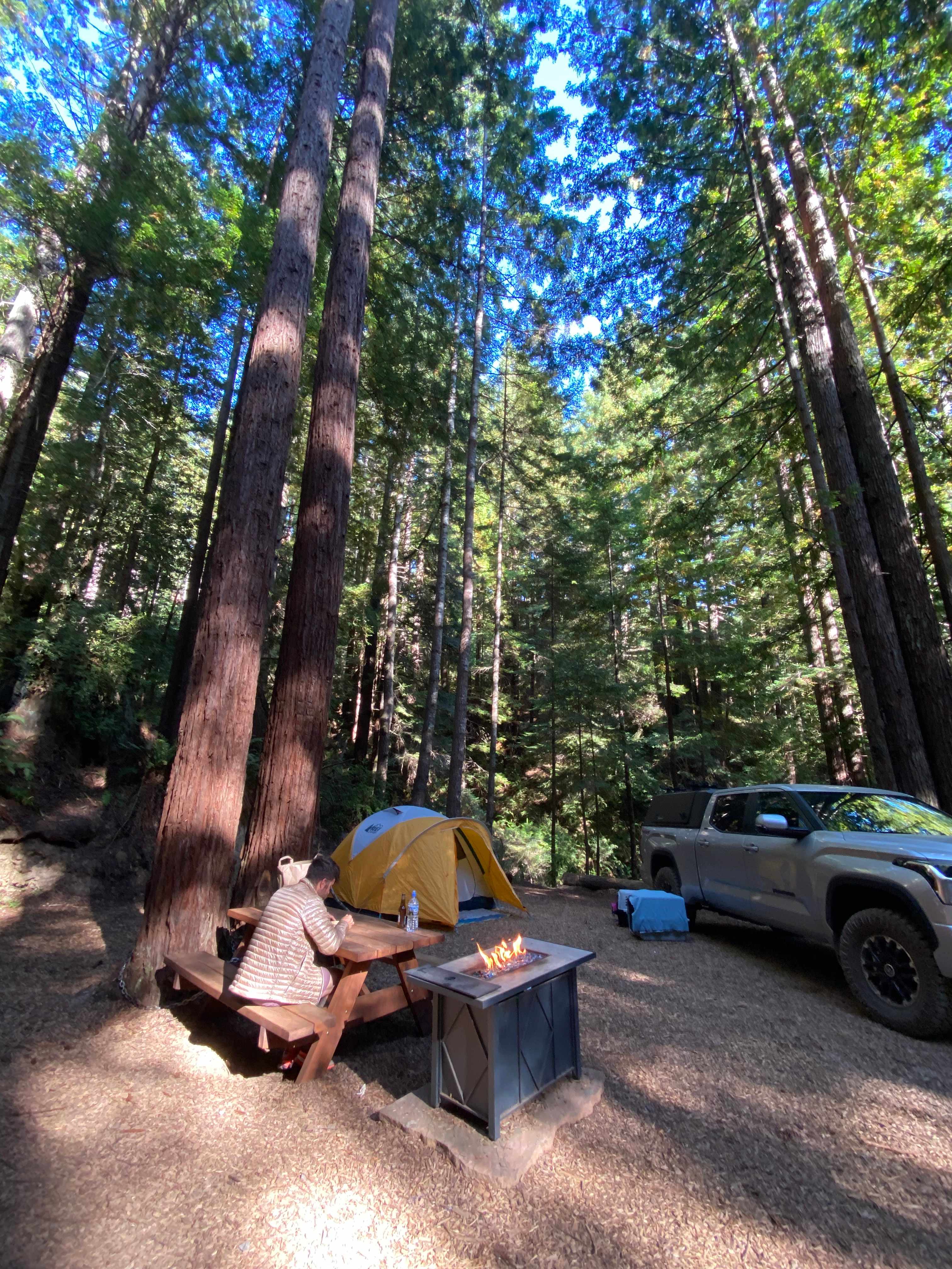 Whispering Redwood Creek