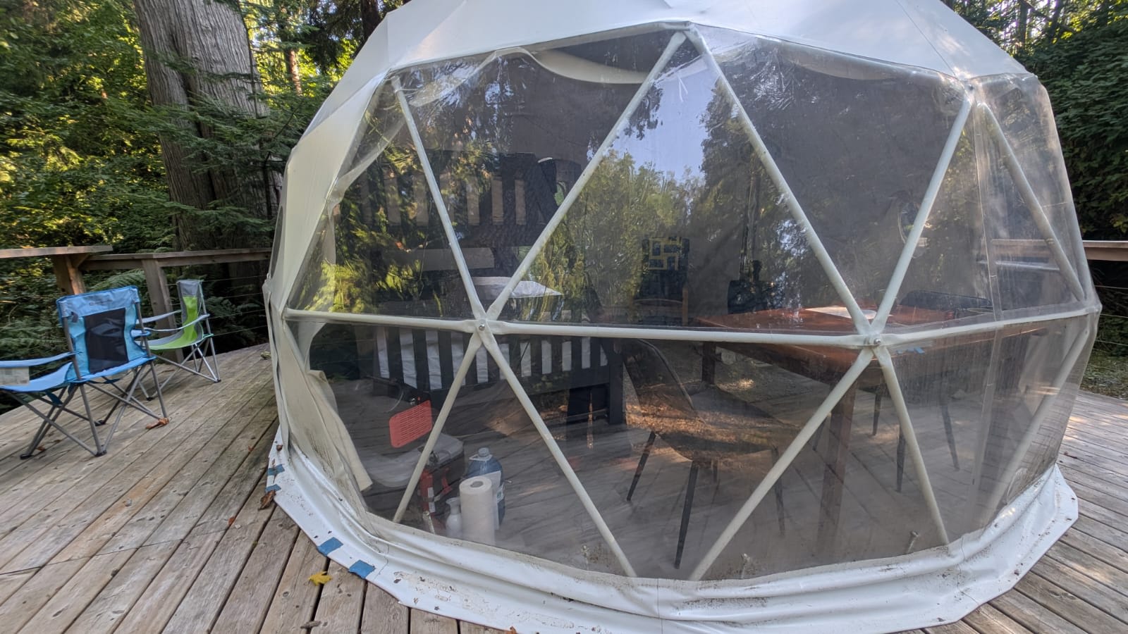 Old Growth Forest Moon Dome